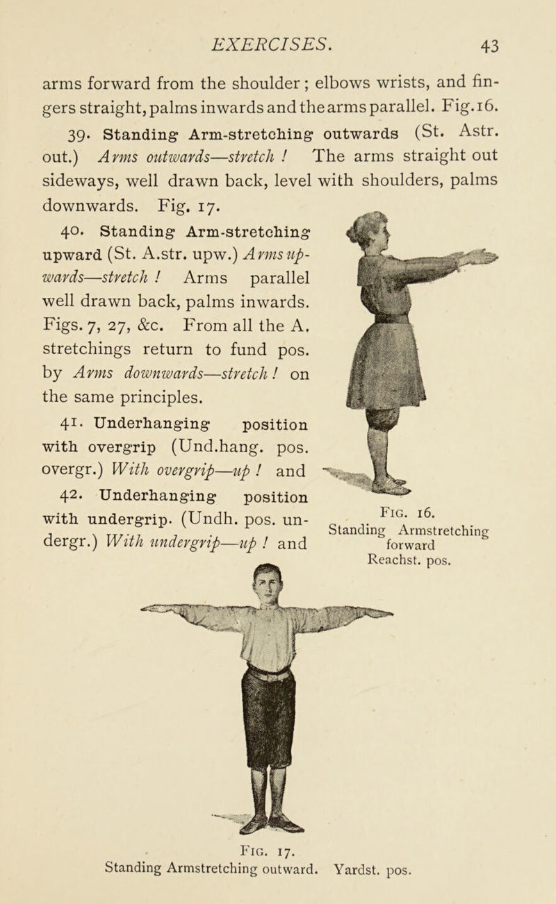 arms forward from the shoulder; elbows wrists, and fin- gers straight, palms inwards and the arms parallel. Fig. 16. 39. Standing Arm-stretching outwards (St. Astr. out.) Arms outwards—stretch ! The arms straight out sideways, well drawn back, level with shoulders, palms downwards. Fig. 17. 4°* Standing Arm-stretching upward (St. A.str. upw.) Arms up- wards—stretch ! Arms parallel well drawn back, palms inwards. Figs. 7, 27, &c. From all the A. stretchings return to fund pos. by Arms downwards—stretch! on the same principles. 41. Underhanging position with overgrip (Und.hang. pos. overgr.) With overgrip—up ! and 42. Underhanging position with undergrip. (Undh. pos. un- 0 .. Fig; l6' . x TTr-,7 7 . Standing Armstretching dergr.) With under grip—up ! and forward Reachst. pos. Fig. 17. Standing Armstretching outward. Yardst. pos.