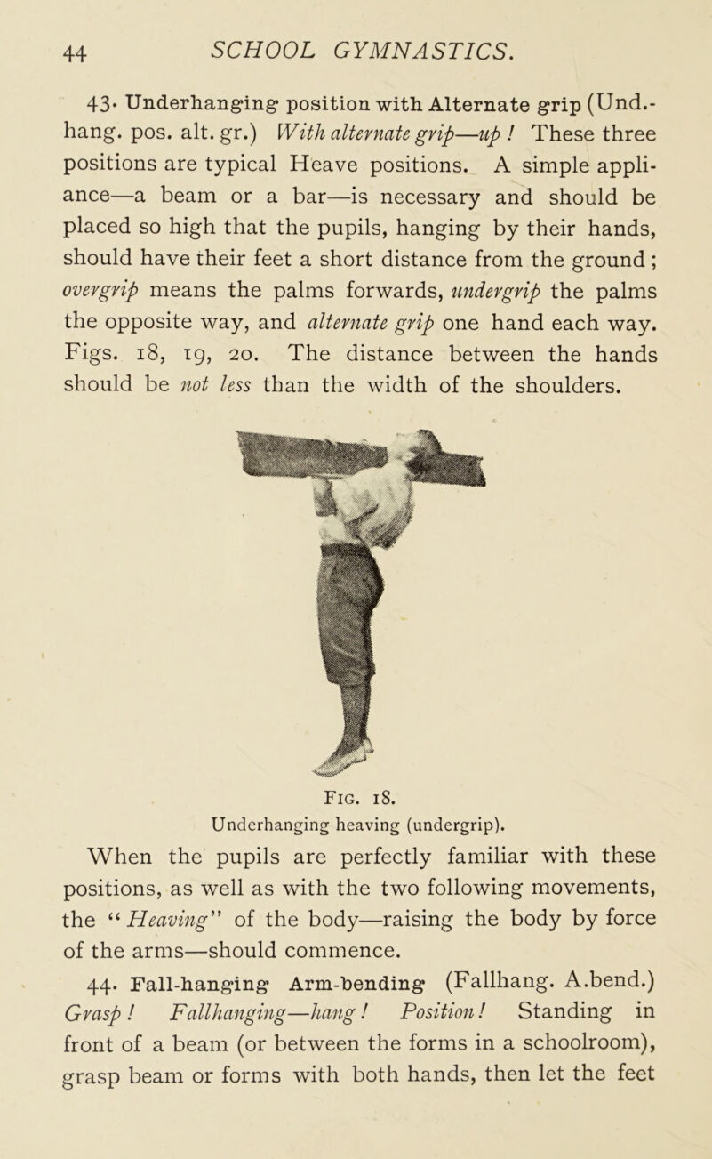 43* Underhanging position with Alternate grip (Und.- hang. pos. alt.gr.) With alternate grip—up ! These three positions are typical Heave positions. A simple appli- ance—a beam or a bar—is necessary and should be placed so high that the pupils, hanging by their hands, should have their feet a short distance from the ground; overgrip means the palms forwards, undergrip the palms the opposite way, and alternate grip one hand each way. Figs. 18, 19, 20. The distance between the hands should be not less than the width of the shoulders. Fig. 18. Underhanging heaving (undergrip). When the pupils are perfectly familiar with these positions, as well as with the two following movements, the “ Heaving” of the body—raising the body by force of the arms—should commence. 44. Fall-hanging Arm-Pending (Fallhang. A.bend.) Grasp ! Fallhanging—hang ! Position! Standing in front of a beam (or between the forms in a schoolroom), grasp beam or forms with both hands, then let the feet