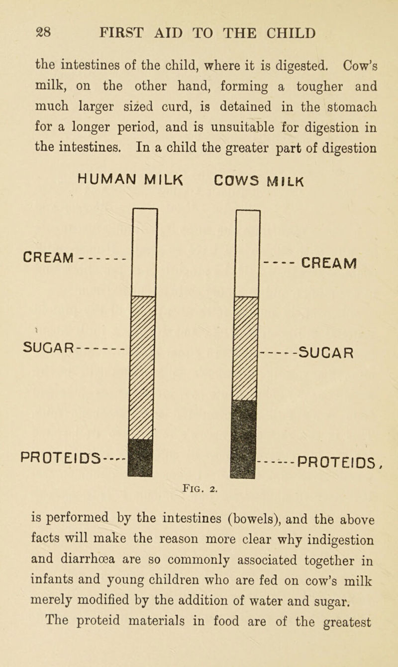 the intestines of the child, where it is digested. Cow’s milk, on the other hand, forming a tougher and much larger sized curd, is detained in the stomach for a longer period, and is unsuitable for digestion in the intestines. In a child the greater part of digestion HUMAM MILK COWS MILK CREAM SUGAR PROTEIDS— Fig. 2. CREAM -5UCAR PROTEIDS, is performed by the intestines (bowels), and the above facts will make the reason more clear why indigestion and diarrhoea are so commonly associated together in infants and young children who are fed on cow’s milk merely modified by the addition of water and sugar. The proteid materials in food are of the greatest