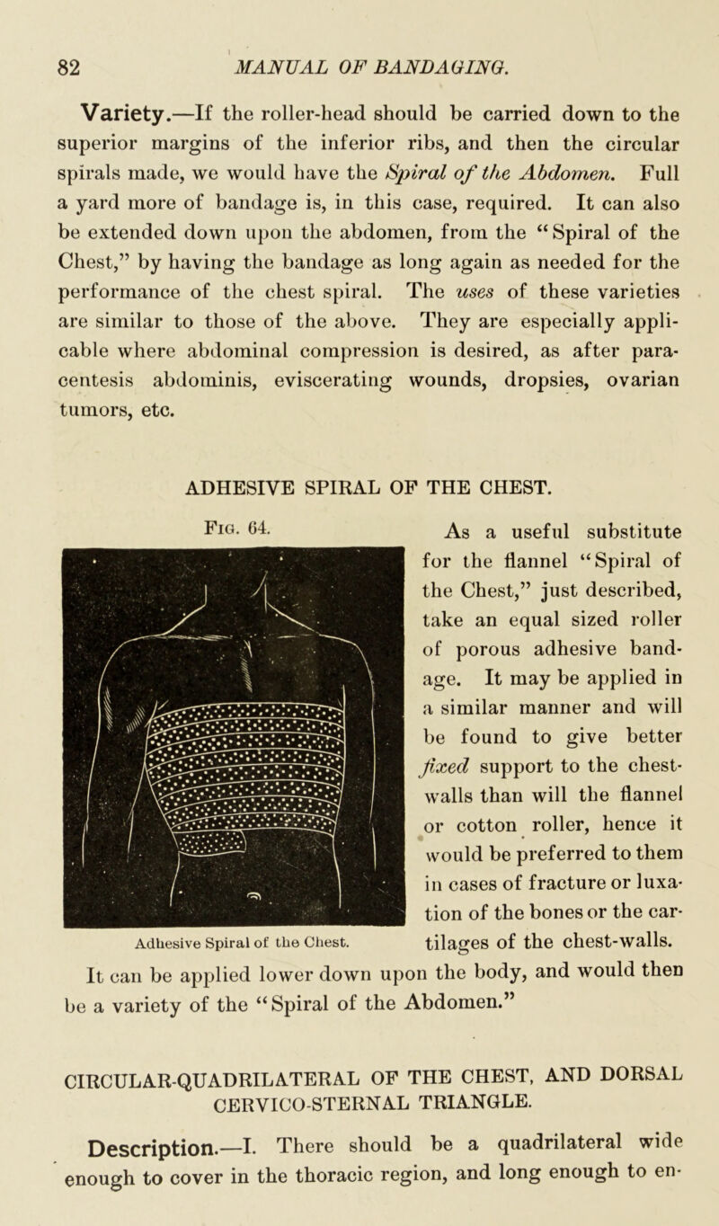 Variety.—If the roller-head should be carried down to the superior margins of the inferior ribs, and then the circular spirals made, we would have the Spiral of the Abdomen. Full a yard more of bandage is, in this case, required. It can also be extended down upon the abdomen, from the “ Spiral of the Chest,” by having the bandage as long again as needed for the performance of the chest spiral. The uses of these varieties are similar to those of the above. They are especially appli- cable where abdominal compression is desired, as after para- centesis abdominis, eviscerating wounds, dropsies, ovarian tumors, etc. ADHESIVE SPIRAL OF THE CHEST. Fig. G4. As a useful substitute for the flannel “Spiral of the Chest,” just described, take an equal sized roller of porous adhesive band- age. It may be applied in a similar manner and will be found to give better fixed support to the chest- walls than will the flannel or cotton roller, hence it £ would be preferred to them in cases of fracture or luxa- tion of the bones or the car- Adhesive Spiral of the Chest. tilages of the chest-walls. It can be applied lower down upon the body, and would then be a variety of the “Spiral of the Abdomen.” CIRCULAR-QUADRILATERAL OF THE CHEST, AND DORSAL CERVICO-STERNAL TRIANGLE. Description.—I. There should be a quadrilateral wide enough to cover in the thoracic region, and long enough to en-