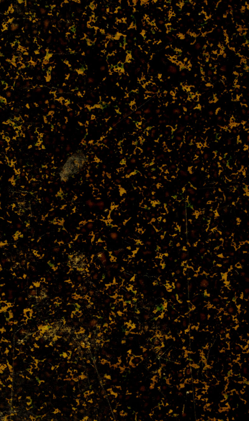 i' . • • • . W' ■** • ■r% '-'  *» +**** it * 4- # JR * *if X v , # * . * Sg?ipSr ^ . Xr: -y ;•: ^ ^ Je ^ ■ _. *v %*v . v v>^ *■ 4 v. ' - * ,m s ?\ t + • « -f * \ T ■f . * fe'' iv.M, ’-yV >»-•-'*_ f' . •^•',* . •.■> •? • J