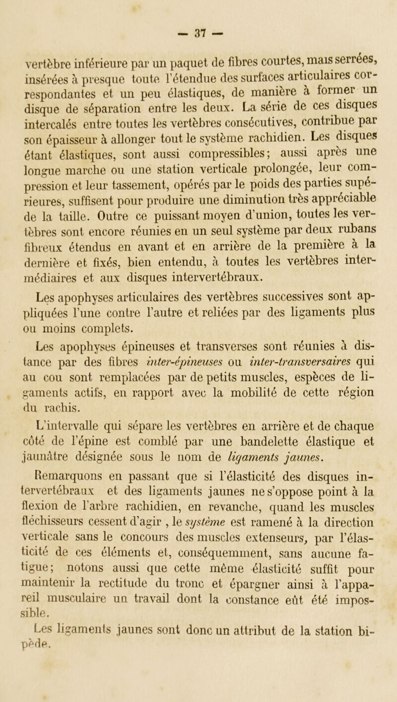 vertèbre inférieure par un paquet de fibres courtes, mais serrées, insérées à presque toute l’étendue des surfaces articulaires cor- respondantes et un peu élastiques, de manière à former un disque de séparation entre les deux. La série de ces disques intercalés entre toutes les vertèbres consécutives, contribue par son épaisseur à allonger tout le système rachidien. Les disques étant élastiques, sont aussi compressibles; aussi après une longue marche ou une station verticale prolongée, leur com- pression et leur tassement, opérés par le poids des parties supé- rieures, suffisent pour produire une diminution très appréciable de la taille. Outre ce puissant moyen d’union, toutes les ver- tèbres sont encore réunies en un seul système par deux rubans fibreux étendus en avant et en arrière de la première à la dernière et fixés, bien entendu, à toutes les vertèbres inter- médiaires et aux disques intervertébraux. Les apophyses articulaires des vertèbres successives sont ap- pliquées l’une contre l’autre et reliées par des ligaments plus ou moins complets. Les apophyses épineuses et transverses sont réunies a dis- tance par des fibres inter-épineuses ou inter-transversaires qui au cou sont remplacées par de petits muscles, espèces de li- gaments actifs, en rapport avec la mobilité de cette région du rachis. L’intervalle qui sépare les vertèbres en arrière et de chaque côté de l’épine est comblé par une bandelette élastique et jaunâtre désignée sous le nom de ligaments ]aunes. Remarquons en passant que si l’élasticité des disques in- tervertébraux et des ligaments jaunes ne s’oppose point à la flexion de l’arbre rachidien, en revanche, quand les muscles fléchisseurs cessent d’agir , le système est ramené à la direction verticale sans le concours des muscles extenseurs^ par l’élas- ticité de ces éléments et, conséquemment, sans aucune fa- tigue; notons aussi que cette même élasticité suffit pour maintenir la rectitude du tronc et épargner ainsi à l’appa- reil musculaire un travail dont la constance eût été impos- sible. Les ligaments jaunes sont donc un attribut de la station bi- pède.