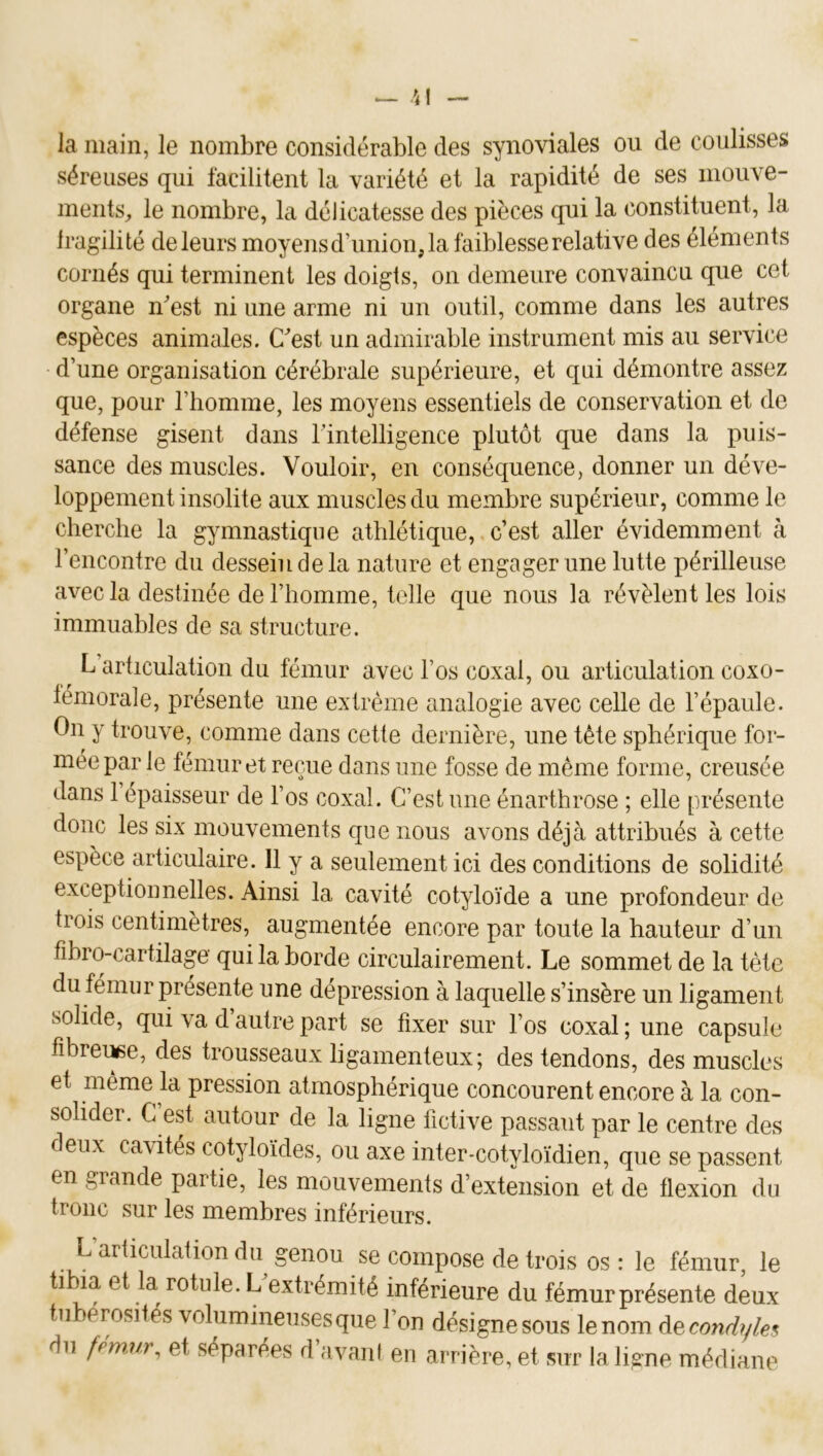la main, le nombre considérable des synoviales ou de coulisses séreuses qui facilitent la variété et la rapidité de ses mouve- ments, le nombre, la délicatesse des pièces qui la constituent, la Iragilité deleurs moyens d’union, la faiblesse relative des éléments cornés qui terminent les doigts, on demeure convaincu que cet organe nest ni une arme ni un outil, comme dans les autres espèces animales. C''est un admirable instrument mis au service d’une organisation cérébrale supérieure, et qui démontre assez que, pour l’homme, les moyens essentiels de conservation et de défense gisent dans l’intelligence plutôt que dans la puis- sance des muscles. Vouloir, en conséquence, donner un déve- loppement insolite aux muscles du membre supérieur, comme le cherche la gymnastique athlétique, c’est aller évidemment à l’encontre du dessein de la nature et engager une lutte périlleuse avec la destinée de l’homme, telle que nous la révèlent les lois immuables de sa structure. L articulation du fémur avec l’os coxal, ou articulation coxo- témorale, présente une extrême analogie avec celle de l’épaule. On y trouve, comme dans cette dernière, une tête sphérique for- mée par le fémur et reçue dans une fosse de même forme, creusée dans 1 épaisseur de l’os coxal. C’est une énarthrose ; elle présente donc les six mouvements que nous avons déjà attribués à cette espèce articulaire. 11 y a seulement ici des conditions de solidité exceptionnelles. Ainsi la cavité cotyloïde a une profondeur de trois centimètres, augmentée encore par toute la hauteur d’un fibro-cartilage qui la borde circulairement. Le sommet de la tète du fémur présente une dépréssion à laquelle s’insère un ligament solide, qui va d autre part se fixer sur l’os coxal ; une capsule fibrei^e, des trousseaux ligamenteux; des tendons, des muscles et même la pression atmosphérique concourent encore à la con- solider. C est autour de la ligne fictive passant par le centre des deux cavités cotyloïdes, ou axe inter-cotyloïdien, que se passent en grande partie, les mouvements d’extension et de flexion du tronc sur les membres inférieurs. L’arficulafion du genou se compose de trois os : le fémur, le tibia et la rotule. L'extrémité inférieure du fémur présente deux tuherosiles volumineusesqiie l’on désignesous lenom decond,/le, du fpmur, et séparées d’avani en arrière, et sur la ligne médiane