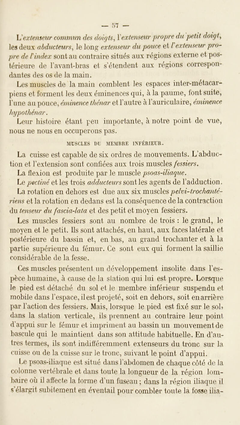 — r;i — \S extenseur commun des doigts^ Y extenseur propre du petit doigt^ les deux abducteurs^ le long extenseur du pouce et Vextensew' pro- pre de l'index sont au contraire situés aux régions externe et pos- térieure de l’avant-bras et s’étendent aux régions correspon- dantes des os de la main. Les muscles de la main comblent les espaces inter-métacar- piens et forment les deux éminences qui, à la paume, tout suite, l’ime au pouce, éminence thénar et l’autre à l’auriculaire, éminence hypothénar. Leur histoire étant peu importante, à notre point de vue, nous ne nous en occuperons pas. MUSCLES DE MEMBRE INFÉRIEUR. La cuisse est capable de six ordres de mouvements. L’abduc- tion et l’extension sont confiées aux trois muscles fessiers. La flexion est produite par le muscle psoas-iliaque. Yq pectiné et les trois adducteurs sont les agents de l’adduction. La rotation en dehors est due aux six muscles pelvi-trochanté- riens et la rotation en dedans est la conséquence de la contraction du tenseur du fascia-lata et des petit et moyen fessiers. Les muscles fessiers sont au nombre de trois : le grand, le moyen et le petit. Ils sont attachés, en haut, aux faces latérale et postérieure du bassin et, en bas, au grand trochanter et à la partie supérieure du fémur. Ce sont eux qui forment la saillie considérable de la fesse. Ces muscles présentent un développement insolite dans l’es- pèce humaine, à cause de la station qui lui est propre. Lorsque le pied est détaché du sol et le membre inférieur suspendu et mobile dans l’espace, il est projeté, soit en dehors, soit enarrière par l’action des fessiers. Mais, lorsque le pied est fixé sur le soh dans la station verticale, ils prennent au contraire leur point d’appui sur le fémur et impriment au bassin un mouvement de bascule qui le maintient dans son attitude habituelle. En d’au- tres termes, ils sont indiftéremment extenseurs du tronc sur la cuisse ou de la cuisse sur Je tronc, suivant le point d’appui. Le psoas-iliaque est situé dans l’abdomen de chaque côté de la colonne vertébrale et dans toute la longueur de la région lom- baire où il aftècte la forme d’un fuseau ; dans la région iliaque il s’élargit subitement en éventail pour combler toute la fosse ilia-