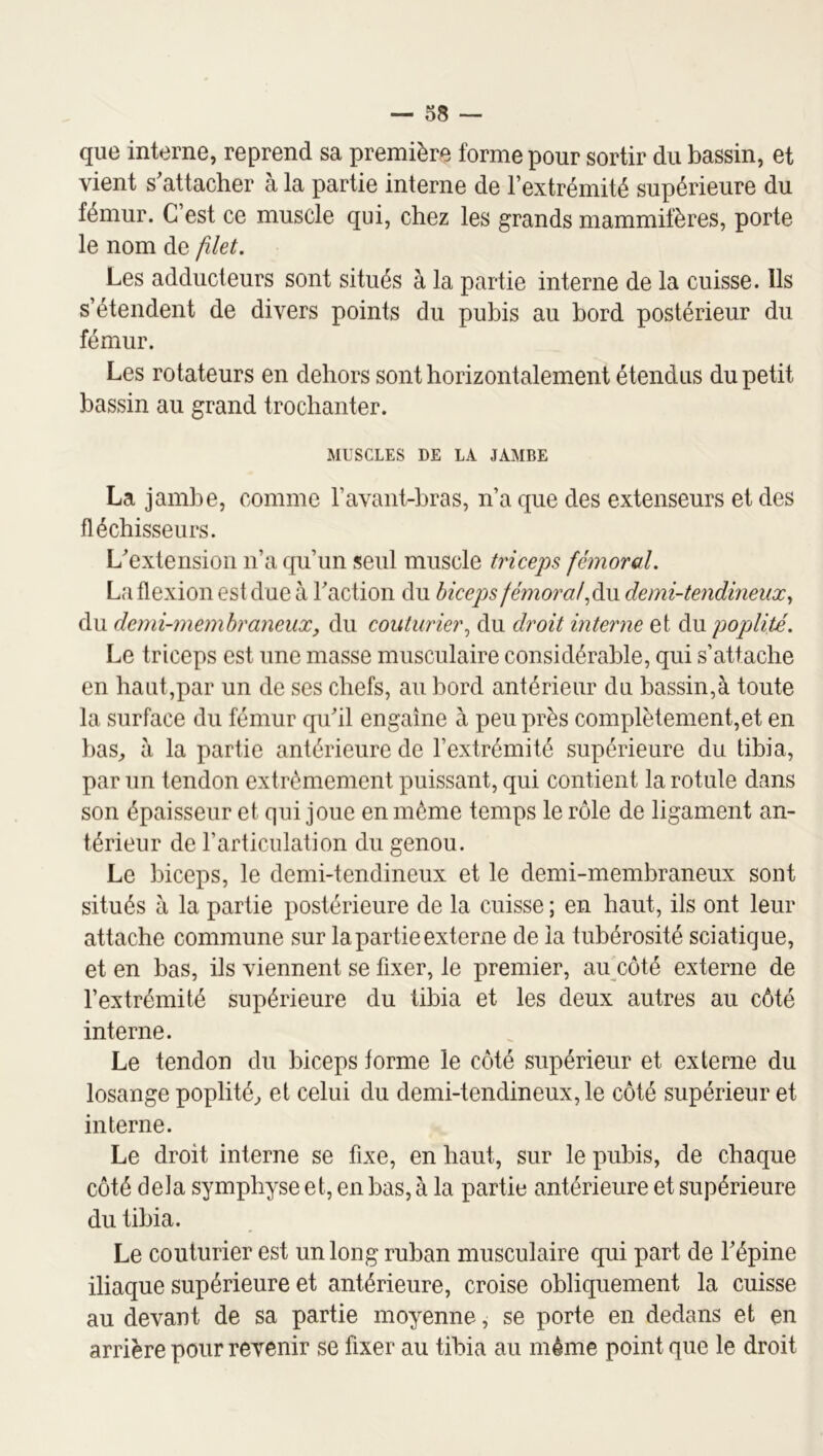 que interne, reprend sa première forme pour sortir du bassin, et vient s'attacher à la partie interne de l’extrémité supérieure du fémur. C’est ce muscle qui, chez les grands mammifères, porte le nom de filet. Les adducteurs sont situés à la partie interne de la cuisse. Ils s’étendent de divers points du pubis au bord postérieur du fémur. Les rotateurs en dehors sont horizontalement étendus du petit bassin au grand trochanter. MUSCLES DE LA JAMBE La jambe, comme l’avant-bras, n’a c|ue des extenseurs et des fléchisseurs. L'extension n’a qu’un seul muscle triceps fémoral. La flexion est due à l'action du hicep)S fémorafàw demi-tendineux., du demi-memhraneux, du couturier., du droit interne et du poplité. Le triceps est une masse musculaire considérable, qui s’attache en haut,par un de ses chefs, au bord antérieur du bassin,à toute la surface du fémur qu'il engaîne à peu près complètement,et en bas, à la partie antérieure de l’extrémité supérieure du tibia, par un tendon extrêmement puissant, qui contient la rotule dans son épaisseur et qui joue en même temps le rôle de ligament an- térieur de l’articulation du genou. Le biceps, le demi-tendineux et le demi-membraneux sont situés à la partie postérieure de la cuisse ; en haut, ils ont leur attache commune sur la partie externe de la tubérosité sciatique, et en bas, ils viennent se fixer, le premier, au_côté externe de l’extrémité supérieure du tibia et les deux autres au côté interne. Le tendon du biceps forme le côté supérieur et externe du losange poplité, et celui du demi-tendineux, le côté supérieur et interne. Le droit interne se fixe, en haut, sur le pubis, de chaque côté delà symphyse et, en bas, à la partie antérieure et supérieure du tibia. Le couturier est un long ruban musculaire qui part de l'épine iliaque supérieure et antérieure, croise obliquement la cuisse au devant de sa partie moyenne, se porte en dedans et en arrière pour revenir se fixer au tibia au même point que le droit