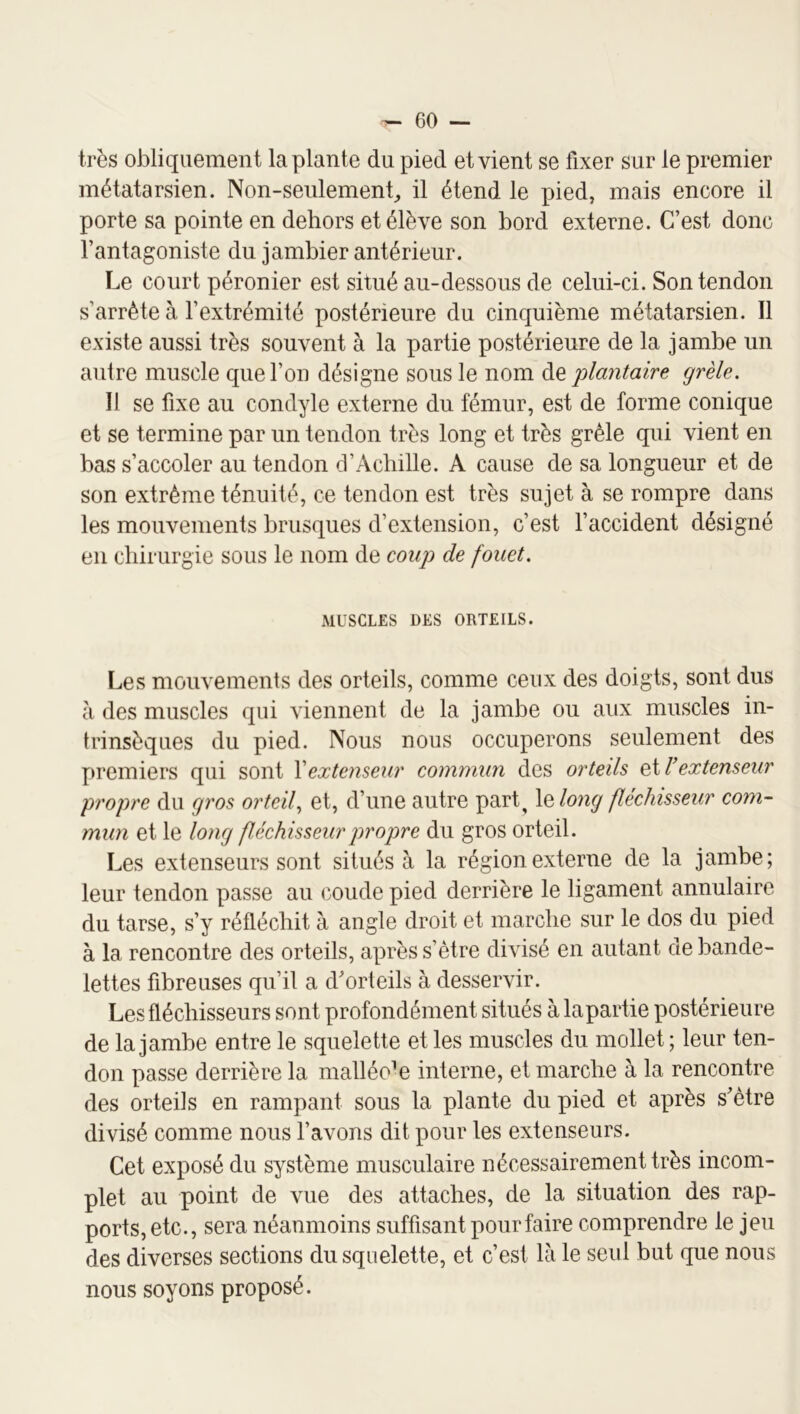 très obliquement la plante du pied et vient se fixer sur le premier métatarsien. Non-seulement^ il étend le pied, mais encore il porte sa pointe en dehors et élève son bord externe. C’est donc l’antagoniste du jambier antérieur. Le court péronier est situé au-dessous de celui-ci. Son tendon s’arrête à l’extrémité postérieure du cinquième métatarsien. Il existe aussi très souvent à la partie postérieure de la jambe un autre muscle que l’on désigne sous le nom de plæitaire grêle. IJ se fixe au condyle externe du fémur, est de forme conique et se termine par un tendon très long et très grêle qui vient en bas s’accoler au tendon d’Achille. A cause de sa longueur et de son extrême ténuité, ce tendon est très sujet à se rompre dans les mouvements brusques d’extension, c’est l’accident désigné en chirurgie sous le nom de coup de fouet. MUSCLES DES ORTEILS. Les mouvements des orteils, comme ceux des doigts, sont dus à des muscles qui viennent de la jambe ou aux muscles in- trinsèques du pied. Nous nous occuperons seulement des premiers qui sont V extenseur commun des orteils ei T extenseur propre du gros orteil, et, d’une autre part, l^long fléchisseur com- mun et le long fléchisseur propre du gros orteil. Les extenseurs sont situés à la région externe de la jambe; leur tendon passe au coude pied derrière le ligament annulaire du tarse, s’y réfléchit à angle droit et marche sur le dos du pied à la rencontre des orteils, après s’être dhdsé en autant de bande- lettes fibreuses qu’il a d’orteils à desservir. Les fléchisseurs sont profondément situés à lapartie postérieure de la jambe entre le squelette et les muscles du mollet ; leur ten- don passe derrière la malléole interne, et marche à la rencontre des orteils en rampant sous la plante du pied et après s’être divisé comme nous l’avons dit pour les extenseurs. Cet exposé du système musculaire nécessairement très incom- plet au point de vue des attaches, de la situation des rap- ports, etc., sera néanmoins suffisant pour faire comprendre le jeu des diverses sections du squelette, et c’est là le seul but que nous nous soyons proposé.