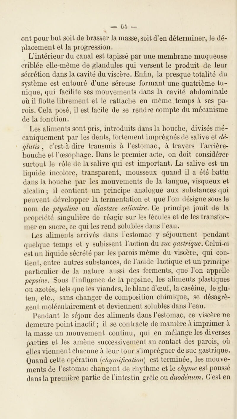 ont pour but soit de brasser la masse, soit d’en déterminer, le dé- placement et la progression. L’intérieur du canal est tapissé par une membrane muqueuse criblée elle-même de glandules qui versent le produit de leur sécrétion dans la cavité du viscère. Enfin, la presque totalité du système est entouré d’une séreuse formant une quatrième tu- nique, qui facilite ses mouvements dans la cavité abdominale oii il Hotte librement et le rattache en même temps à ses pa- rois. Cela posé, il est facile de se rendre compte du mécanisme de la fonction. Les aliments sont pris^ introduits dans la bouche, divisés mé- caniquement par les dents, fortement imprégnés de salive et dé- ' glutis, c’est-à-dire transmis à l’estomac, à travers l’arrière- bouche et l’œsophage. Dans le premier acte, on doit considérer surtout le rôle de la salive qui est important. La salive est un liquide incolore, transparent, mousseux quand il a été battu dans la bouche par les mouvements de la langue, visqueux et alcalin ; il contient un principe analogue aux substances qui peuvent développer la fermentation et que l’on désigne sous le nom de ptyaline ou diastase salivaire. Ce principe jouit de la propriété singulière de réagir sur les fécules et de les transfor- mer en sucre, ce qui les rend solubles dans l’eau. Les aliments arrivés dans l’estomac y séjournent pendant quelque temps et y subissent l’action du suc gastrique. Celui-ci est un liquide sécrété par les parois même du viscère, qui con- tient, entre autres substances, de l’acide lactique et un principe particulier de la nature aussi des ferments, que l’on appelle pepsine. Sous l’influencœ de la pepsine, les aliments plastiques ou azotés, tels que les viandes, le blanc d’œuf, la caséine, le glu- ten, etc., sans changer de composition chimique, se désagrè- gent moléculairement et deviennent solubles dans l’eau. Pendant le séjour des aliments dans l’estomac, ce viscère ne demeure point inactif ; il se contracte de manière à imprimer à la masse un mouvement continu, qui en mélange les diverses parties et les amène successivement au contact des parois, oîi elles viennent chacune à leur tour s’imprégner de suc gastrique. Quand cette opération [chymification] est terminée, les mouve- ments de l’estomac changent de rhythme et le chyme est poussé dans la première partie de l’intestin grêle ou duodénum. C’est en