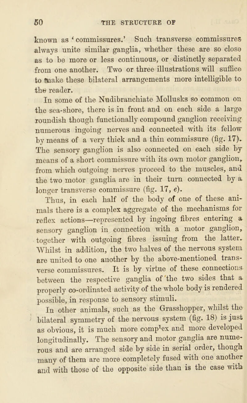 known as ‘ commissures.’ Such transverse commissures always unite similar ganglia, whether these are so close as to be more or less continuous, or distinctly separated from one another. Two or three illustrations will suffice to make these bilateral arrangements more intelligible to the reader. In some of the Nudibranchiate Mollusks so common on the sea-shore, there is in front and on each side a large roundish though functionally compound ganglion receiving numerous ingoing nerves and connected with its fellow by means of a very thick and a thin commissure (fig. 17). The sensory ganglion is also connected on each side by means of a short commissure with its own motor ganglion, from which outgoing nerves proceed to the muscles, and the two motor ganglia are in their turn connected by a longer transverse commissure (fig. 17, c). Thus, in each half of the body of one of these ani- mals there is a complex aggregate of the mechanisms for reflex actions—represented by ingoing fibres entering a sensory ganglion in connection with a motor ganglion, together with outgoing fibres issuing from the latter. Whilst in addition, the two halves of the nervous system are united to one another by the above-mentioned trans- verse commissures. It is by virtue of these connections between the respective ganglia of'the two sides that a properly co-ordinated activity of the whole body is rendered possible, in response to sensory stimuli. In other animals, such as the Grasshopper, whilst the bilateral symmetry of the nervous system (fig. 18) is just as obvious, it is much more complex and more developed longitudinally. The sensory and motor ganglia are nume- rous and are arranged side by side in serial order, though many of them are more completely fused with one another and with those of the opposite side than is the case with