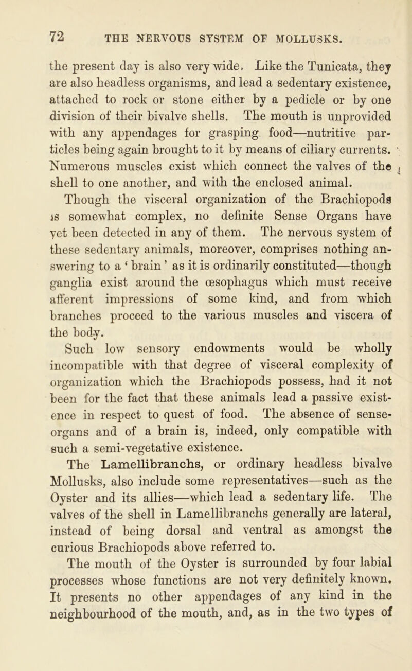 the present tlay is also very wide. Like the Tunicata, they are also headless organisms, and lead a sedentary existence, attached to rock or stone either by a pedicle or by one division of their bivalve shells. The mouth is unprovided with any appendages for grasping food—nutritive par- ticles being again brought to it by means of ciliary currents. Numerous muscles exist which connect the valves of the shell to one another, and with the enclosed animal. Though the visceral organization of the Brachiopods IS somewhat complex, no definite Sense Organs have yet been detected in any of them. The nervous system of these sedentary animals, moreover, comprises nothing an- swering to a ‘ brain ’ as it is ordinarily constituted—though ganglia exist around the oesophagus which must receive aflerent impressions of some kind, and from which branches proceed to the various muscles and viscera of the body. Such low sensory endowments would be wholly incompatible with that degree of visceral complexity of organization which the Brachiopods possess, had it not been for the fact that these animals lead a passive exist- ence in respect to quest of food. The absence of sense- organs and of a brain is, indeed, only compatible with such a semi-vegetative existence. The Lamellibranchs, or ordinary headless bivalve MoUusks, also include some representatives—such as the Oyster and its allies—which lead a sedentary life. The valves of the shell in Lamellibranchs generally are lateral, instead of being dorsal and ventral as amongst the curious Brachiopods above referred to. The mouth of the Oyster is surrounded by four labial processes whose functions are not very definitely Imown, It presents no other appendages of any kind in the neighbourhood of the mouth, and, as in the two types of