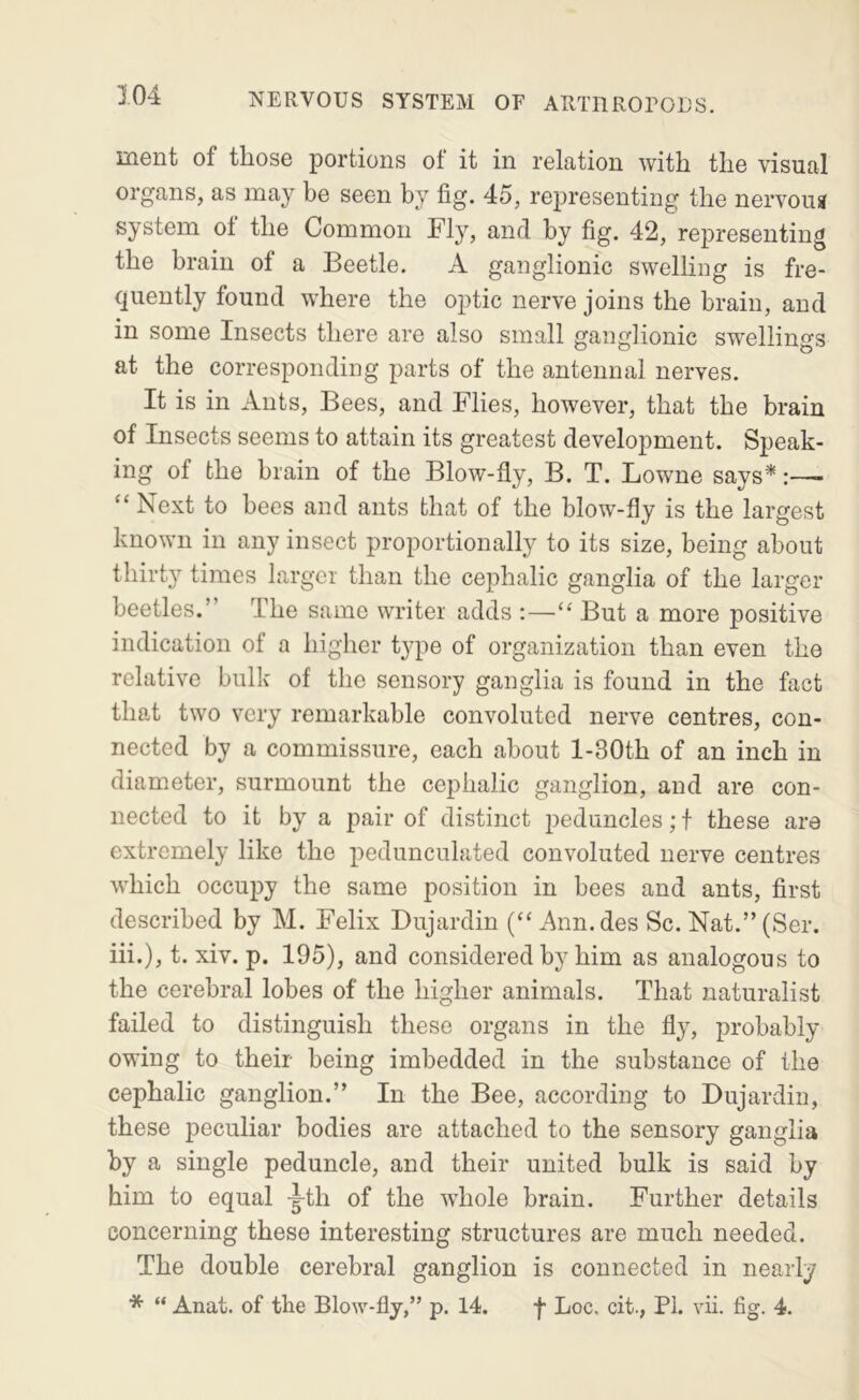 ni6nt of thosG portions ot it in relation with, the visual organs, as may be seen by fig. 45, representing the nervouij system ot the Common Fly, and by fig. 42, representing the brain of a Beetle. A ganglionic swelling is fre- quently found where the optic nerve joins the brain, and in some Insects there are also small ganglionic swellings at the corresponding parts of the antennal nerves. It is in Ants, Bees, and Flies, however, that the brain of Insects seems to attain its greatest development. Speak- ing of the brain of the Blow-fly, B. T. Lowne says*:—- “ Next to bees and ants that of the blow-fly is the largest known in any insect proportionally to its size, being about thirty times larger than the cephalic ganglia of the larger beetles.” The same writer adds :—“ But a more positive indication of a higher t}qre of organization than even the relative bulk of the sensory ganglia is found in the fact that two very remarkable convoluted nerve centres, con- nected by a commissure, each about l-30th of an inch in diameter, surmount the cephalic ganglion, and are con- nected to it by a pair of distinct peduncles; f these are extremely like the pedunculated convoluted nerve centres w^hich occupy the same position in bees and ants, first described by M. Felix Dujardin (“ Ann.des Sc. Nat.”(Ser. hi.), t. xiv. p. 195), and considered by him as analogous to the cerebral lobes of the higher animals. That naturalist failed to distinguish these organs in the fly, probably owing to their being imbedded in the substance of the cephalic ganglion.” In the Bee, according to Dujardin, these peculiar bodies are attached to the sensory ganglia by a single peduncle, and their united bulk is said by him to equal -g-th of the whole brain. Further details concerning these interesting structures are much needed. The double cerebral ganglion is connected in nearly * “ Anat. of the Blow-fly,” p. 14. f Loc. cit., PI. vii. fig. 4.