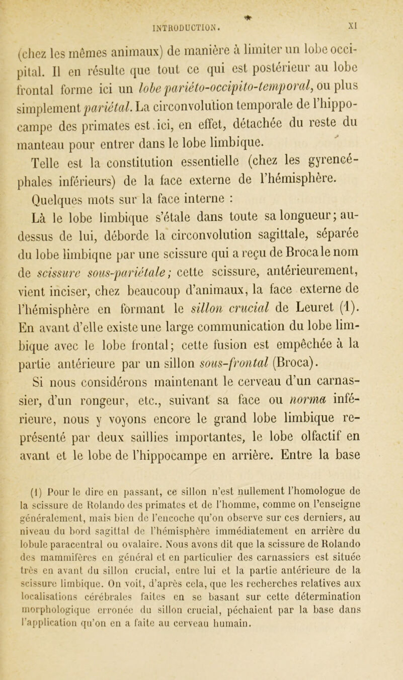 (chez les mêmes animaux) de manière à limiter un lobe occi- pital. Il en résulte que tout ce qui est postérieur au lobe frontal forme ici un lobe pariéto-occipito-temporal, ou plus simplement 'pariétal. La circonvolution temporale de 1 hippo- campe des primates est.ici, en effet, détachée du reste du manteau pour entrer dans le lobe limbique. Telle est la constitution essentielle (chez les gyrencé- phales inférieurs) de la face externe de 1 hémisphère. Quelques mots sur la face interne : Là le lobe limbique s’étale dans toute sa longueur; au- dessus de lui, déborde la circonvolution sagittale, séparée du lobe limbique par une scissure qui a reçu de Brocale nom de scissure sous-pariétale ; cette scissure, antérieurement, vient inciser, chez beaucoup d’animaux, la face externe de l’hémisphère en formant le sillon crucial de Leuret (1). En avant d’elle existe une large communication du lobe lim- bique avec le lobe frontal; cette fusion est empêchée à la partie antérieure par un sillon sous-frontal (Broca). Si nous considérons maintenant le cerveau d’un carnas- sier, d’un rongeur, etc., suivant sa face ou norma infé- rieure, nous y voyons encore le grand lobe limbique re- présenté par deux saillies importantes, le lobe olfactif en avant et le lobe de l’hippocampe en arrière. Entre la base (I) Pour le dire en passant, ce sillon n’est nullement l’homologue de la scissure de Rolando des primates et de l’homme, comme on l’enseigne généralement, mais bien de l’encoche qu’on observe sur ces derniers, au niveau du bord sagittal de l’hémisphère immédiatement en arrière du lobule paraccntral ou ovalaire. Nous avons dit que la scissure de Rolando des mammifères en général et en particulier des carnassiers est située très en avant du sillon crucial, entre lui et la partie antérieure de la scissure limbique. On voit, d’après cela, que les recherches relatives aux localisations cérébrales laites en se basant sur cette détermination morphologique erronée du sillon crucial, péchaient par la base dans l’application qu’on en a faite au cerveau humain.