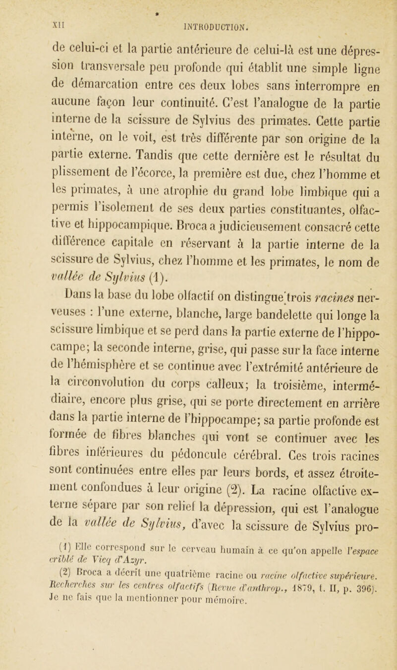 de celui-ci et la partie antérieure de celui-là est une dépres- sion transversale peu profonde qui établit une simple ligne de démarcation entre ces deux lobes sans interrompre en aucune façon leur continuité. C’est l’analogue de la partie interne de la scissure de Sylvius des primates. Cette partie interne, on le voit, est très différente par son origine de la partie externe. Tandis que cette dernière est le résultat du plissement de l’écorce, la première est due, chez l’homme et les primates, a une atrophie du grand lobe limbique qui a permis 1 isolement de ses deux parties constituantes, olfac- tive et hippocampique. Broca a judicieusement consacré cette ditférence capitale en réservant à la partie interne de la scissure de Sylvius, chez l’homme et les primates, le nom de vallée de Sylvius (1). Bans la base du lobe olfactif on distingue trois racines ner- veuses : 1 une externe, blanche, large bandelette qui longe la scissure limbique et se perd dans la partie externe de l’hippo- campe; la seconde interne, grise, qui passe sur la face interne de 1 hémisphère et se continue avec l’extrémité antérieure de la circonvolution du corps calleux; la troisième, intermé- diaiie, encore plus grise, qui se porte directement en arrière dans la partie interne de 1 hippocampe; sa partie profonde est tonnée de fibres blanches qui vont se continuer avec les fibies inférieures du pédoncule cérébral. Ces trois racines sont continuées entre elles par leurs bords, et assez étroite- ment confondues à leur origine (2). La racine olfactive ex- terne sépare par son relief la dépression, qui est l’analogue de fa vallée de Sylvius, d’avec la scissure de Sylvius pro- (1) Kilo correspond sur le cerveau humain à ce qu’on appelle l'espace criblé de Vicq d'Azyr. (2) Croca a décril une quatrième racine ou racine olfactive supérieure. Recherches sur les centres olfactifs (Revue d'anthrop., 4879, (. II, p. 396J. Je ne fais que la mentionner pour mémoire.