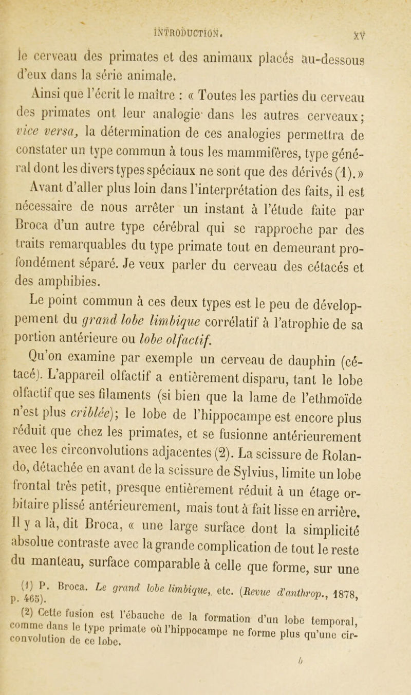 le cerveau des primates et des animaux places au-dessous d’eux dans la série animale. Ainsi que l’écrit le maître : « Toutes les parties du cerveau des primates ont leur analogie1 dans les autres cerveaux; vice versa, la détermination de ces analogies permettra de constater un type commun à tous les mammifères, type géné- ral dont les divers types spéciaux ne sont que des dérivés (1).» Avant d’aller plus loin dans l’interprétation des faits, il est nécessaire de nous arrêter un instant à l’étude faite par Broca dun autre type cérébral qui se rapproche par des traits remarquables du type primate tout en demeurant pro- fondément séparé. Je veux parler du cerveau des cétacés et des amphibies. Le point commun à ces deux types est le peu de dévelop- pement du grand lobe Imbique corrélatif à l’atrophie de sa portion antérieure ou lobe olfactif. Qu’on examine par exemple un cerveau de dauphin (cé- tacé). L’appareil olfactif a entièrement disparu, tant le lobe olfactif que ses filaments (si bien que la lame de l’ethmoïde n est plus criblée); le lobe de l’hippocampe est encore plus réduit que chez les primates, et se fusionne antérieurement avec les circonvolutions adjacentes (2). La scissure de Rolan- do, détachée en avant de la scissure de Sylvius, limite un lobe frontal très petit, presque entièrement réduit à un étage or- bitaire plissé antérieurement, mais tout à fait lisse en arrière. Il y a là, dit Broca, « une large surface dont la simplicité absolue contraste avec la grande complication de tout le reste du manteau, surface comparable à celle que forme, sur une I Broca. Le grand lobe limbique, etc. (Revue d'anthrop.1878, (2) Ceîtc {'L,sion est l’ébauche de la formation d’un lobe temporal ceTober.imale °*‘'“P6 P>- drl h