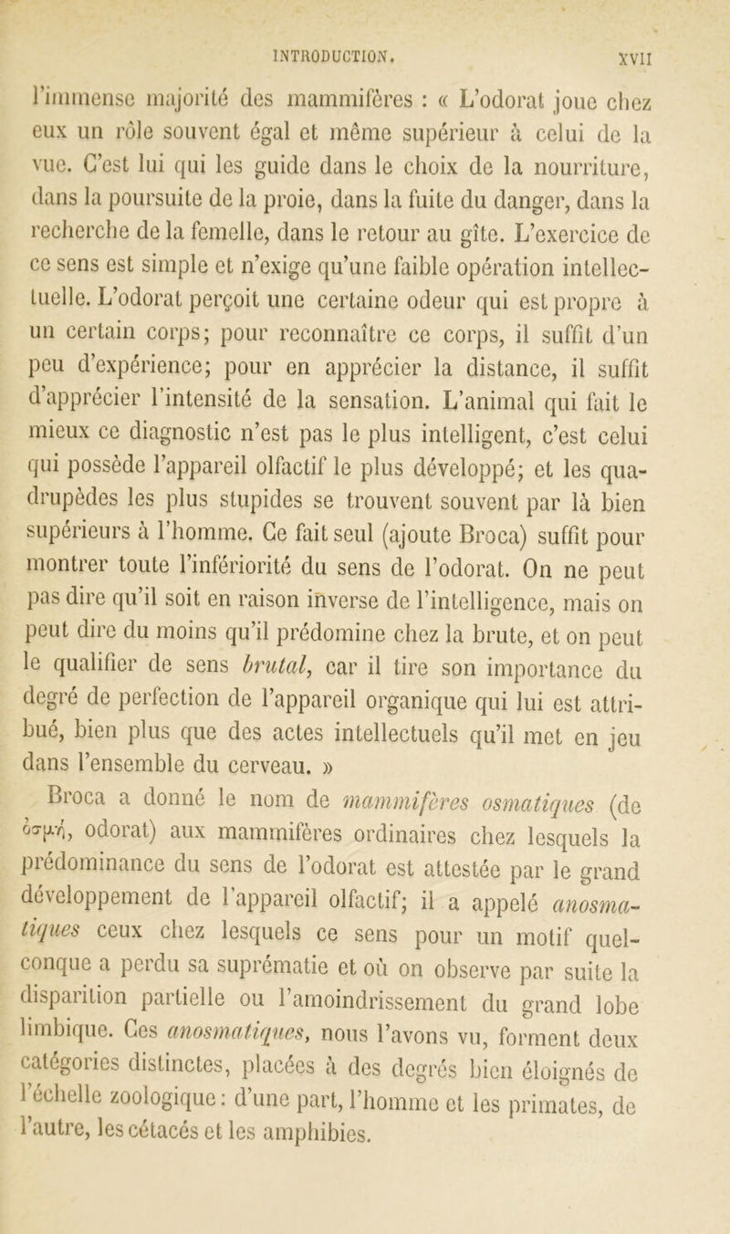 l’immense majorité des mammifères : « L’odorat joue chez eux un rôle souvent égal et même supérieur à celui de la vue. C’est lui qui les guide dans le choix de la nourriture, dans la poursuite de la proie, dans la fuite du danger, dans la recherche de la femelle, dans le retour au gîte. L’exercice de ce sens est simple et n’exige qu’une faible opération intellec- tuelle. L’odorat perçoit une certaine odeur qui est propre à un certain corps; pour reconnaître ce corps, il suffit d’un peu d’expérience; pour en apprécier la distance, il suffit d’apprécier l’intensité de la sensation. L’animal qui fait le mieux ce diagnostic n’est pas le plus intelligent, c’est celui qui possède l’appareil olfactif le plus développé; et les qua- drupèdes les plus stupides se trouvent souvent par là bien supérieurs à l’homme. Ce fait seul (ajoute Broca) suffit pour montrer toute l’infériorité du sens de l’odorat. On ne peut pas dire qu’il soit en raison inverse de l’intelligence, mais on peut dire du moins qu’il prédomine chez la brute, et on peut le qualifier de sens brutal, car il tire son importance du degré de perfection de l’appareil organique qui lui est attri- bué, bien plus que des actes intellectuels qu’il met en jeu dans l’ensemble du cerveau. » Broca a donné le nom de mammifères osmatiques (de 03-jj.vb odorat) aux mammifères ordinaires chez lesquels la prédominance du sens de l’odorat est attestée par le grand développement de 1 appareil olfactif; il a appelé anosma- tiques ceux chez lesquels ce sens pour un motif quel- conque a perdu sa suprématie et où on observe par suite la disparition partielle ou l’amoindrissement du grand lobe hmbique. Ces anosmatiques, nous l’avons vu, forment deux catégoiies distinctes, placées a des degrés bien éloignés de 1 échelle zoologique: dune part, l’homme et les primates, de l’autre, les cétacés et les amphibies.