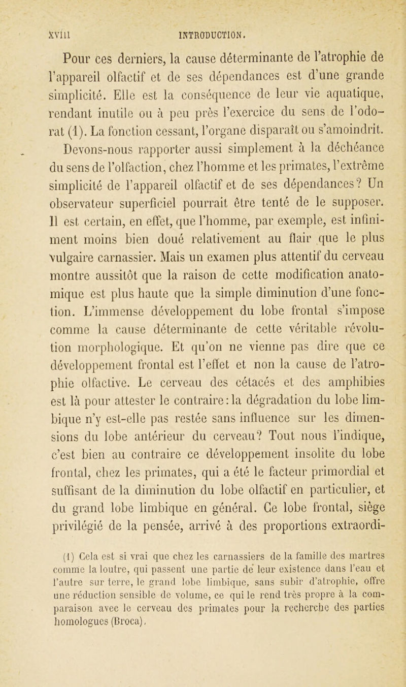 Pour ces derniers, la cause déterminante de l’atrophie de l’appareil olfactif et de ses dépendances est d’une grande simplicité. Elle est la conséquence de leur vie aquatique, rendant inutile ou à peu près l’exercice du sens de l’odo- rat (1). La fonction cessant, l’organe disparaît ou s’amoindrit. Devons-nous rapporter aussi simplement à la déchéance du sens de l’olfaction, chez l’homme et les primates, l’extrême simplicité de l’appareil olfactif et de ses dépendances? Un observateur superficiel pourrait être tenté de le supposer. 11 est certain, en effet, que l’homme, par exemple, est infini- ment moins bien doué relativement au flair que le plus vulgaire carnassier. Mais un examen plus attentif du cerveau montre aussitôt que la raison de cette modification anato- mique est plus haute que la simple diminution d’une fonc- tion. L’immense développement du lobe frontal s’impose comme la cause déterminante de cette véritable révolu- tion morphologique. Et qu’on ne vienne pas dire que ce développement frontal est l’effet et non la cause de l’atro- phie olfactive. Le cerveau des cétacés et des amphibies est là pour attester le contraire :1a dégradation du lobe lim- bique n’y est-elle pas restée sans influence sur les dimen- sions du lobe antérieur du cerveau? Tout nous l’indique, c’est bien au contraire ce développement insolite du lobe frontal, chez les primates, qui a été le facteur primordial et suffisant de la diminution du lobe olfactif en particulier, et du grand lobe limbique en général. Ce lobe frontal, siège privilégié de la pensée, arrivé à des proportions extraordi- (1) Cela est si vrai que chez les carnassiers de la famille des martres comme la loutre, qui passent une partie de leur existence dans l’eau et l’autre sur terre, le grand lobe limbique, sans subir d’atrophie, offre une induction sensible de volume, ce qui le rend très propre à la com- paraison avec le cerveau des primates pour Ja recherche des parties homologues (Broca),