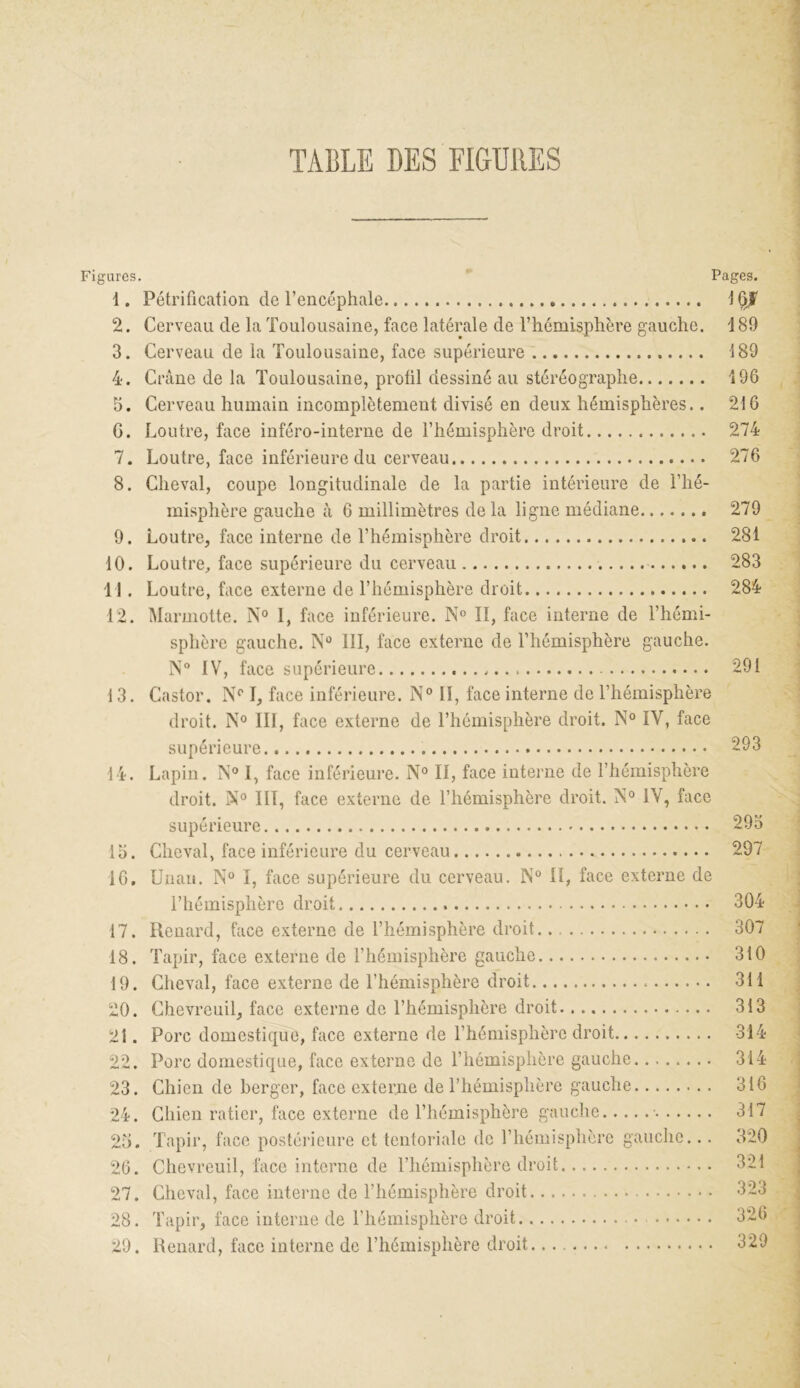 Figures 1. 2. 3. 4. 5. G. 7. 8. 9. 10. 11. 12. 13. 14. 15. 16. 17. 18. 19. 20. 21. 22. 23. 24. 25. 26. 27. 28. 29. Pages. Pétrification de l’encéphale 16/ Cerveau de la Toulousaine, face latérale de l’hémisphère gauche. 189 Cerveau de la Toulousaine, face supérieure 189 Crâne de la Toulousaine, profil dessiné au stéréographe 196 Cerveau humain incomplètement divisé en deux hémisphères.. 216 Loutre, face inféro-interne de l’hémisphère droit 274 Loutre, face inférieure du cerveau 276 Cheval, coupe longitudinale de la partie intérieure de l’hé- misphère gauche à 6 millimètres delà ligne médiane 279 Loutre, face interne de l’hémisphère droit 281 Loutre, face supérieure du cerveau 283 Loutre, face externe de l’hémisphère droit 284 Marmotte. N° I, face inférieure. N° II, face interne de l’hémi- sphère gauche. N° 111, face externe de l’hémisphère gauche. N° IV, face supérieure 291 Castor. Np I, face inférieure. N° II, face interne de l’hémisphère droit. N° III, face externe de l’hémisphère droit. N° IV, face supérieure 293 Lapin. N° I, face inférieure. N° II, face interne de l’hémisphère droit. IX0 III, face externe de l’hémisphère droit. M° IV, face supérieure 295 Cheval, face inférieure du cerveau 297 Unau. N° I, face supérieure du cerveau. N° II, face externe de l’hémisphère droit 304 Renard, face externe de l’hémisphère droit. 307 Tapir, face externe de l’hémisphère gauche 310 Cheval, face externe de l’hémisphère droit 311 Chevreuil, face externe de l’hémisphère droit 313 Porc domestique, face externe de l’hémisphère droit 314 Porc domestique, face externe de l’hémisphère gauche 314 Chien de berger, face externe de l’hémisphère gauche 316 Chien ratier, face externe de l’hémisphère gauche • 317 Tapir, face postérieure et tentoriale de l’hémisphère gauche... 320 Chevreuil, face interne de l’hémisphère droit 321 Cheval, face interne de l’hémisphère droit 323 Tapir, face interne de l’hémisphère droit 326 Renard, face interne de l’hémisphère droit 329
