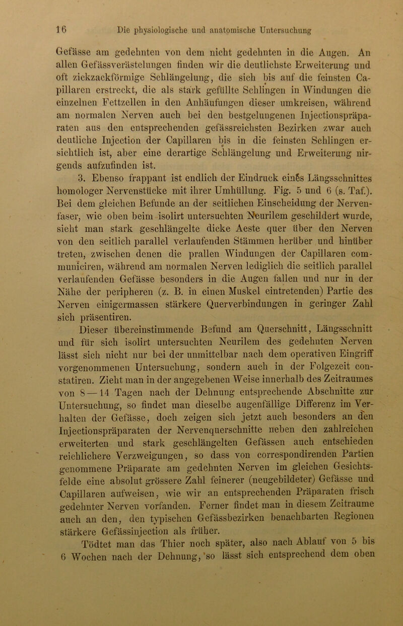 Gefasse am gedehnten von dem nicht gedehnten in die Augen. An allen Gefässverästelungen finden wir die deutlichste Erweiterung und oft zickzackförmige Schlängelung, die sich bis auf die feinsten Ca- pillaren erstreckt, die als stärk gefüllte Schlingen in Windungen die einzelnen Fettzellen in den Anhäufungen dieser umkreisen, während am normalen Nerven auch bei den bestgelungenen Injectionspräpa- raten aus den entsprechenden gefässreichsten Bezirken zwar auch deutliche Injection der Capillaren bis in die feinsten Schlingen er- sichtlich ist, aber eine derartige Schlängelung und Erweiterung nir- gends aufzufinden ist. 3. Ebenso frappant ist endlich der Eindruck einSs Längsschnittes homologer Nervenstücke mit ihrer Umhüllung. Fig. 5 und 6 (s. Taf.). Bei dem gleichen Befunde an der seitlichen Einscheidung der Nerven- faser, wie oben beim isolirt untersuchten Neurilem geschildert wurde, sieht man stark geschlängelte dicke Aeste quer über den Nerven von den seitlich parallel verlaufenden Stämmen herüber und hinüber treten, zwischen denen die prallen Windungen der Capillaren com- municiren, während am normalen Nerven lediglich die seitlich parallel verlaufenden Gefasse besonders in die Augen fällen und nur in der Nähe der peripheren (z. B. in einen Muskel eintretenden) Partie des Nerven einigermassen stärkere Querverbindungen in geringer Zahl sich präsentiren. Dieser übereinstimmende Befund am Querschnitt, Längsschnitt und für sich isolirt untersuchten Neurilem des gedehnten Nerven lässt sich nicht nur bei der unmittelbar nach dem operativen Eingriff vorgenommenen Untersuchung, sondern auch in der Folgezeit con- statiren. Zieht man in der angegebenen Weise innerhalb des Zeitraumes von 8 —14 Tagen nach der Dehnung entsprechende Abschnitte zur Untersuchung, so findet man dieselbe augenfällige Differenz im Ver- halten der Gefasse, doch zeigen sich jetzt auch besonders an cten Injectionspräparaten der Nervenquerschnitte neben den zahlreichen erweiterten und stark geschlängelten Gefässen auch entschieden reichlichere Verzweigungen, so dass von correspondirenden Partien genommene Präparate am gedehnten Nerven im gleichen Gesichts- felde eine absolut grössere Zahl feinerer (neugebildeter) Gefasse und Capillaren aufweisen, wie wir an entsprechenden Präparaten frisch gedehnter Nerven vorfanden. Ferner findet man in diesem Zeiträume auch an den, den typischen Gefässbezirken benachbarten Regionen stärkere Gefässinjection als früher. Töcltet man das Thier noch später, also nach Ablauf von 5 bis 6 Wochen nach der Dehnung, so lässt sich entsprechend dem oben