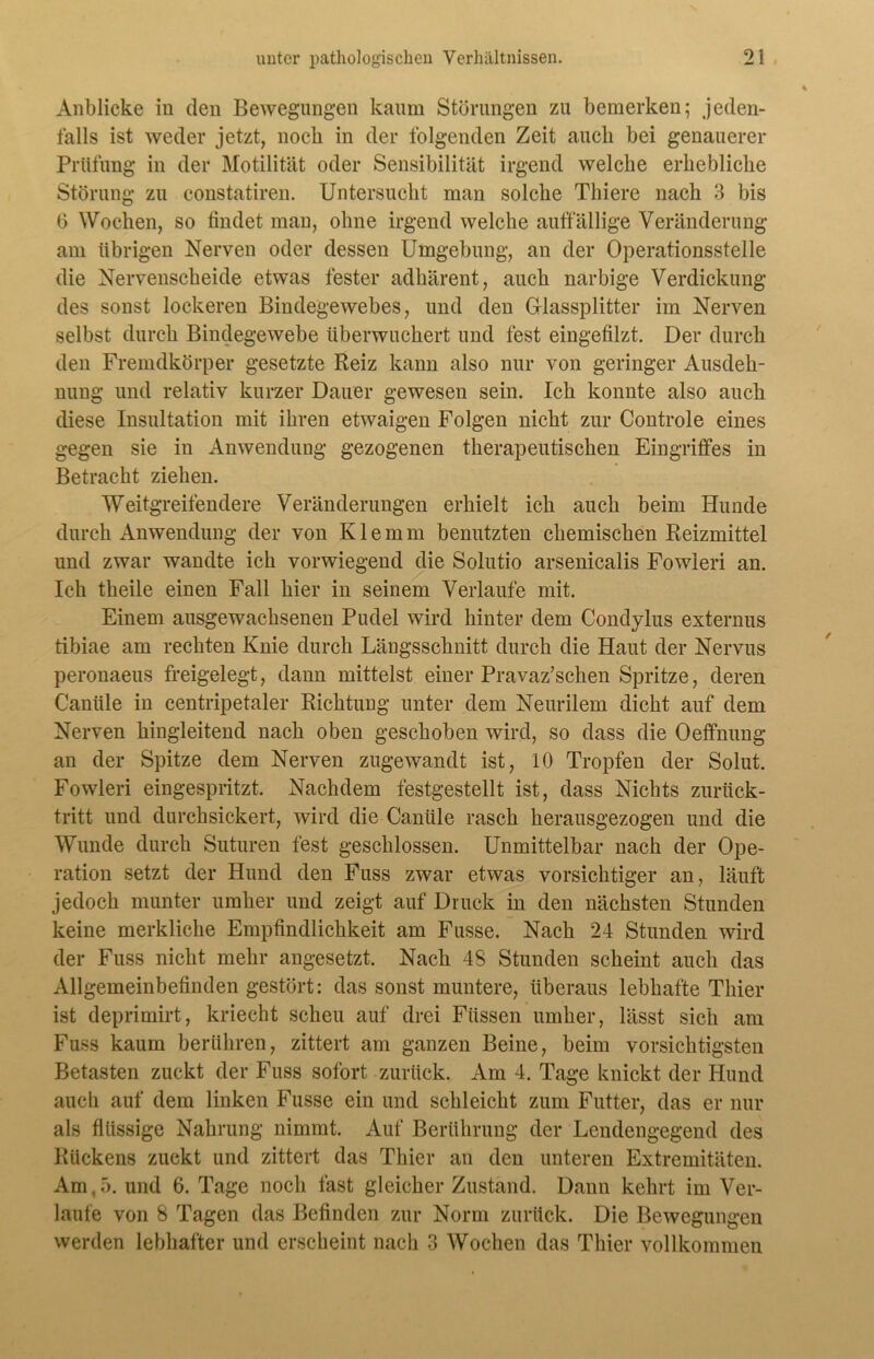 Anblicke in den Bewegungen kaum Störungen zu bemerken; jeden- falls ist weder jetzt, noch in der folgenden Zeit auch bei genauerer Prüfung in der Motilität oder Sensibilität irgend welche erhebliche Störung zu constatiren. Untersucht man solche Thiere nach 3 bis ö Wochen, so findet man, ohne irgend welche auffällige Veränderung am übrigen Nerven oder dessen Umgebung, an der Operationsstelle die Nervenscheide etwas fester adhärent, auch narbige Verdickung des sonst lockeren Bindegewebes, und den Glassplitter im Nerven selbst durch Bindegewebe überwuchert und fest eingefilzt. Der durch den Fremdkörper gesetzte Reiz kann also nur von geringer Ausdeh- nung und relativ kurzer Dauer gewesen sein. Ich konnte also auch diese Insultation mit ihren etwaigen Folgen nicht zur Controle eines gegen sie in Anwendung gezogenen therapeutischen Eingriffes in Betracht ziehen. Weitgreifendere Veränderungen erhielt ich auch beim Hunde durch Anwendung der von Klemm benutzten chemischen Reizmittel und zwar wandte ich vorwiegend die Solutio arsenicalis Fowleri an. Ich theile einen Fall hier in seinem Verlaufe mit. Einem ausgewachsenen Pudel wird hinter dem Condylus externus tibiae am rechten Knie durch Längsschnitt durch die Haut der Nervus peronaeus freigelegt, dann mittelst einer Pravaz’schen Spritze, deren Canüle in centripetaler Richtung unter dem Neurilem dicht auf dem Nerven hingleitend nach oben geschoben wird, so dass die Oeffnung an der Spitze dem Nerven zugewandt ist, 10 Tropfen der Solut. Fowleri eingespritzt. Nachdem festgestellt ist, dass Nichts zurück- tritt und durchsickert, wird die Canüle rasch herausgezogen und die Wunde durch Suturen fest geschlossen. Unmittelbar nach der Ope- ration setzt der Hund den Fuss zwar etwas vorsichtiger an, läuft jedoch munter umher und zeigt auf Druck in den nächsten Stunden keine merkliche Empfindlichkeit am Fusse. Nach 24 Stunden wird der Fuss nicht mehr angesetzt. Nach 4S Stunden scheint auch das Allgemeinbefinden gestört: das sonst muntere, überaus lebhafte Thier ist deprimirt, kriecht scheu auf drei Füssen umher, lässt sich am Fuss kaum berühren, zittert am ganzen Beine, beim vorsichtigsten Betasten zuckt der Fuss sofort zurück. Am 4. Tage knickt der Hund auch auf dem linken Fusse ein und schleicht zum Futter, das er nur als flüssige Nahrung nimmt. Auf Berührung der Lendengegend des Rückens zuckt und zittert das Thier an den unteren Extremitäten. Am. 5. und 6. Tage noch fast gleicher Zustand. Dann kehrt im Ver- laufe von 8 Tagen das Befinden zur Norm zurück. Die Bewegungen werden lebhafter und erscheint nach 3 Wochen das Thier vollkommen