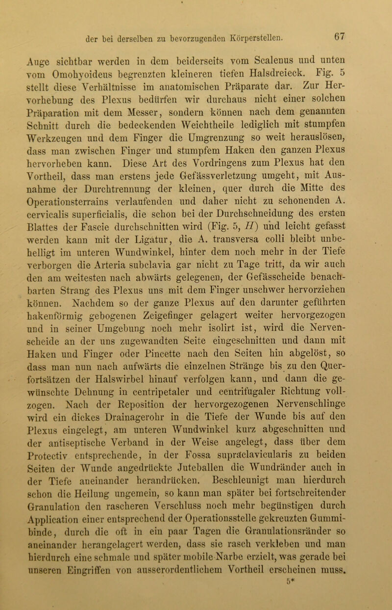 Auge sichtbar werden in dem beiderseits vom Scalenus und unten vom Omohyoideus begrenzten kleineren tiefen Halsdreieck. Fig. 5 stellt diese Verhältnisse im anatomischen Präparate dar. Zur Her- vorhebung des Plexus bedürfen wir durchaus nicht einer solchen Präparation mit dem Messer, sondern können nach dem genannten Schnitt durch die bedeckenden Weichtheile lediglich mit stumpfen Werkzeugen und dem Finger die Umgrenzung so weit herauslösen, dass man zwischen Finger und stumpfem Haken den ganzen Plexus hervorheben kann. Diese Art des Vordringens zum Plexus hat den Vortheil, dass man erstens jede Gefässverletzung umgeht, mit Aus- nahme der Durchtrennung der kleinen, quer durch die Mitte des Operationsterrains verlaufenden und daher nicht zu schonenden A. cervicalis superficialis, die schon bei der Durchschneidung des ersten Blattes der Fascie durchschnitten wird (Fig. 5, H) und leicht gefasst werden kann mit der Ligatur, die A. transversa colli bleibt unbe- helligt im unteren Wundwinkel, hinter dem noch mehr in der Tiefe verborgen die Arteria subclavia gar nicht zu Tage tritt, da wir auch den am weitesten nach abwärts gelegenen, der Gefässcheide benach- barten Strang des Plexus uns mit dem Finger unschwer hervorziehen können. Nachdem so der ganze Plexus auf den darunter geführten hakenförmig gebogenen Zeigefinger gelagert weiter hervorgezogen und in seiner Umgebung noch mehr isolirt ist, wird die Nerven- scheide an der uns zugewandten Seite eiugeschnitten und dann mit Haken und Finger oder Pincette nach den Seiten hin abgelöst, so dass man nun nach aufwärts die einzelnen Stränge bis zu den Quer- fortsätzen der Halswirbel hinauf verfolgen kann, und dann die ge- wünschte Dehnung in centripetaler und centrifugaler Richtung voll- zogen. Nach der Reposition der hervorgezogenen Nervenschlinge wird ein dickes Drainagerohr in die Tiefe der Wunde bis auf den Plexus eingelegt, am unteren Wundwinkel kurz abgeschnitten und der antiseptische Verband in der Weise angelegt, dass über dem Protectiv entsprechende, in der Fossa supräclavicularis zu beiden Seiten der Wunde angedrückte Juteballen die Wundränder auch in der Tiefe aneinander herandrücken. Beschleunigt man hierdurch schon die Heilung ungemein, so kann man später bei fortschreitender Granulation den rascheren Verschluss noch mehr begünstigen durch Application einer entsprechend der Operationsstelle gekreuzten Gummi- binde, durch die oft in ein paar Tagen die Granulationsränder so aneinander herangelagert werden, dass sie rasch verkleben und man hierdurch eine schmale und später mobile Narbe erzielt, was gerade bei unseren Eingriffen von ausserordentlichem Vortheil erscheinen muss. 5*