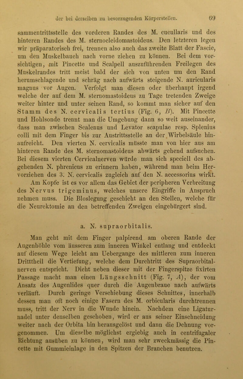 saramentrittsstelle des vorderen Randes des M. cucullaris und des hinteren Randes des M. sternocleidomastoideus. Den letzteren legen wir präparatorisch frei, trennen also auch das zweite Blatt der Fascie, um den Muskelbauch nach vorne ziehen zu können. Bei dem vor- sichtigen, mit Pincette und Scalpell auszuführenden Freilegen des Muskelrandes tritt meist bald der sich von unten um den Rand herumschlagende und schräg nach aufwärts steigende N. auricularis magnus vor Augen. Verfolgt man diesen oder überhaupt irgend welche der auf dem M. sternomastoideus zu Tage tretenden Zweige weiter hinter und unter seinen Rand, so kommt man sicher auf den Stamm des N. cervicalis tertius (Fig. 6, B). Mit Pincette und Hohlsonde trennt man die Umgebung dann so weit auseinander, dass man zwischen Scalenus und Levator scapulae resp. Splenius colli mit dem Finger bis zur Austrittsstelle an der Wirbelsäule hin- aufreicht. Den vierten N. cervicalis müsste man von hier aus am hinteren Rande des M. sternomastoideus abwärts gehend aufsuchen. Bei diesem vierten Cervicalnerven würde man sich speciell des ab- gehenden N. phrenicus zu erinnern haben, während man beim Her- vorziehen des 3. N. cervicalis zugleich auf den N. accessorius wirkt. Am Kopfe ist es vor allem das Gebiet der peripheren Verbreitung des Nervus trigeminus, welches unsere Eingriffe in Anspruch nehmen muss. Die Bloslegung geschieht an den Stellen, welche für die Neurektomie an den betreffenden Zweigen eingebürgert sind. a. N. supraorbitalis. Man geht mit dem Finger palpirend am oberen Rande der Augenhöhle vom äusseren zum inneren Winkel entlang und entdeckt auf diesem Wege leicht am Uebergange des mittleren zum inneren Dritttheil die Vertiefung, welche dem Durchtritt des Supraorbital- nerven entspricht. Dicht neben dieser mit der Fingerspitze fixirten Passage macht man einen Längsschnitt (Fig. 7, M), der vom Ansatz des Augenlides quer durch die Augenbraue nach aufwärts verläuft. Durch geringe Verschiebung dieses Schnittes, innerhalb dessen man oft noch einige Fasern des M. orbicularis durchtrennen muss, tritt der Nerv in die Wunde hinein. Nachdem eine Ligatur- nadel unter denselben geschoben, wird er aus seiner Einschneidung weiter nach der Orbita hin herausgelöst und dann die Dehnung vor- genommen. Um dieselbe möglichst ergiebig auch in centrifugaler Richtung ausüben zu können, wird man sehr zweckmässig die Pin- cette mit Gummieinlage in den Spitzen der Branchen benutzen.