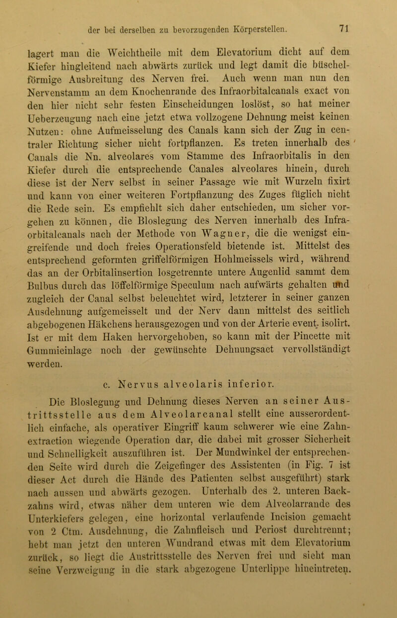 lagert mau die Weiclitheile mit dem Elevatorium dicht auf dem Kiefer hingleitend nach abwärts zurück und legt damit die büschel- förmige Ausbreitung des Nerven frei. Auch wenn man nun den Nervenstamm an dem Knochenrande des Infraorbitalcanals exact von den hier nicht sehr festen Einscheidungen loslöst, so hat meiner Ueberzeugung nach eine jetzt etwa vollzogene Dehnung meist keinen Nutzen: ohne Aufmeisselung des Canals kann sich der Zug in cen- traler Richtung sicher nicht fortpflanzen. Es treten innerhalb des ' Canals die Nn. alveolares vom Stamme des Infraorbitalis in den Kiefer durch die entsprechende Canales alveolares hinein, durch diese ist der Nerv selbst in seiner Passage wie mit Wurzeln fixirt und kann von einer weiteren Fortpflanzung des Zuges füglich nicht die Rede sein. Es empfiehlt sich daher entschieden, um sicher Vor- gehen zu können, die Bloslegung des Nerven innerhalb des Infra- orbitalcanals nach der Methode von Wagner, die die wenigst ein- greifende und doch freies Operationsfeld bietende ist. Mittelst des entsprechend geformten grifFelförmigen Hohlmeissels wird, während das an der Orbitalinsertion losgetrennte untere Augenlid sammt dem Bulbus durch das löffelförmige Speculum nach aufwärts gehalten und zugleich der Canal selbst beleuchtet wird, letzterer in seiner ganzen Ausdehnung aufgemeisselt und der Nerv dann mittelst des seitlich abgebogenen Häkchens herausgezogen und von der Arterie event. isolirt. Ist er mit dem Haken hervorgehoben, so kann mit der Pincette mit Gummieinlage noch der gewünschte Dehnungsact vervollständigt werden. c. Nervus alveolaris inferior. Die Bloslegung und Dehnung dieses Nerven an seiner Aus- trittsstelle aus dem Alveolarcanal stellt eine ausserordent- lich einfache, als operativer Eingriff kaum schwerer wie eine Zahn- extraction wiegende Operation dar, die dabei mit grosser Sicherheit und Schnelligkeit auszuführen ist. Der Mundwinkel der entsprechen- den Seite wird durch die Zeigefinger des Assistenten (in Fig. 7 ist dieser Act durch die Hände des Patienten selbst ausgeführt) stark nach aussen und abwärts gezogen. Unterhalb des 2. unteren Back- zahns wird, etwas näher dem unteren wie dem Alveolarrande des Unterkiefers gelegen, eine horizontal verlaufende Incision gemacht von 2 Ctm. Ausdehnung, die Zahnfleisch und Periost durchtrennt; hebt man jetzt den unteren Wundrand etwas mit dem Elevatorium zurück, so liegt die Austrittsstelle des Nerven frei und sieht man seine Verzweigung in die stark abgezogene Unterlippe hineintreten.