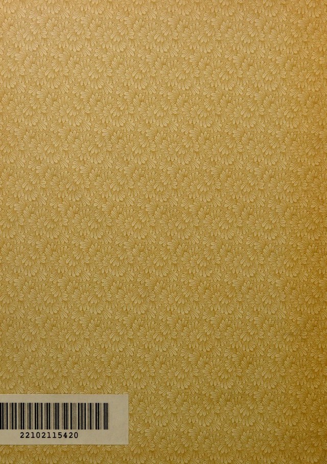 No text description is available for this image