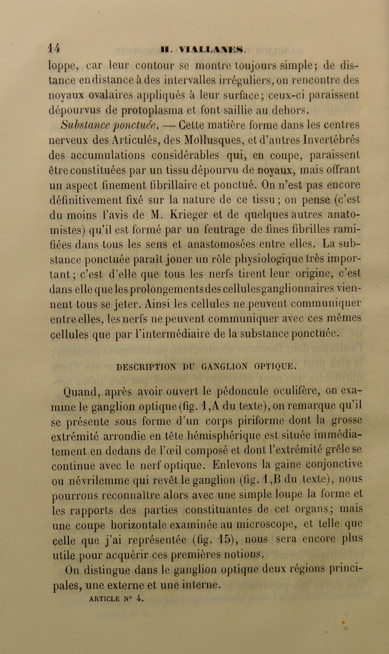 loppe, car leur contour se montre toujours simple; de dis- tance en distance à des intervalles irréguliers, on rencontre des noyaux ovalaires appliqués à leur surface; ceux-ci paraissent dépourvus de protoplasma et font saillie au dehors. Substance 'ponctuée. — Cette matière forme dans les centres nerveux des Articulés, des Mollusques, et d’autres Invertébrés des accumulations considérables qui, en coupe, paraissent être constituées par un tissu dépourvu de noyaux, mais offrant un aspect finement fibrillaire et ponctué. On n’est pas encore définitivement fixé sur la nature de ce tissu ; on pense (c’est du moins l’avis de M. Krieger et de quelques autres anato- mistes) qu’il est formé par un feutrage de fines fibrilles rami- fiées dans tous les sens et anastomosées entre elles. La sub- stance ponctuée parait jouer un rôle physiologique très impor- tant ; c’est d’elle que tous les nerfs tirent leur origine, c’est dans elle que les prolongements des cellulesganglionnaires vien- nent tous se jeter. Ainsi les cellules ne peuvent communiquer entre elles, les nerfs ne peuvent communiquer avec ces mêmes cellules que par l’intermédiaire de la substance ponctuée. DESCRIPTION DU GANGLION OPTIQUE. Quand, après avoir ouvert le pédoncule oculifère, on exa- mine le ganglion optique (fig. 1,A du texte), on remarque qu’il se présente sous forme d’un corps piriforme dont la grosse extrémité arrondie en tête hémisphérique est située immédia- tement en dedans de l’œil composé et dont l’extrémité grêle se continue avec le nerf optique. Enlevons la gaine conjonctive ou névrilemme qui revêt le ganglion (fig. 1,B du texte), nous pourrons reconnaître alors avec une simple loupe la forme et les rapports des parties constituantes de cet organs; mais une coupe horizontale examinée au microscope, et telle que celle que j’ai représentée (fig. 15), nous sera encore plus utile pour acquérir ces premières notions. On distingue dans le ganglion optique deux régions princi- pales, une externe et une interne.