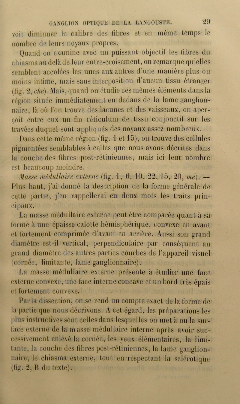 voit diminuer le calibre des fibres et en même temps le nombre de leurs noyaux propres. Quand on examine avec un puissant objectif les libres du chiasmaau delà de leur entre-croisement, on remarque qu’elles semblent accolées les unes aux autres d’une manière plus ou moins intime, mais sans interposition d’aucun tissu étranger (iïg. 2, cke). Mais, quand on étudie ces mêmes éléments dans la région située immédiatement en dedans de la lame ganglion- naire, là où l’on trouve des lacunes et des vaisseaux, on aper- çoit entre eux un fin réticulum de tissu conjonctif sur les travées duquel sont appliqués des noyaux assez nombreux. Dans cette même région (fig. 1 et 15), on trouve des cellules pigmentées semblables à celles que nous avons décrites dans la couche des fibres post-rétiniennes, mais ici leur nombre est beaucoup moindre. Masse médullaire externe (fig. 1, 6, 10, 22, 45, 20, me). — Plus haut, j’ai donné la description de la forme générale de cette partie, j’en rappellerai en deux mots les traits prin- cipaux. La masse médullaire externe peut être comparée quant à sa forme à une épaisse calotte hémisphérique, convexe en avant et fortement comprimée d’avant en arrière. Aussi son grand diamètre est-il vertical, perpendiculaire par conséquent au grand diamètre des autres parties courbes de l’appareil visuel (cornée, limitante, lame ganglionnaire). La masse médullaire externe présente à étudier une face externe convexe, une face interne concave et un bord 1res épais et fortement convexe. Parla dissection, on se rend un compte exact de la forme de la partie que nous décrivons. A cet égard, les préparations les plus instructives sont celles dans lesquelles on met à nu la sur- face externe de la masse médullaire interne après avoir suc- cessivement enlevé la cornée, les yeux élémentaires, la limi- tante, la couche des fibres post-rétiniennes, la lame ganglion- naire, le chiasma externe, tout en respectant la sclérotique (fig. 2, H du texte).