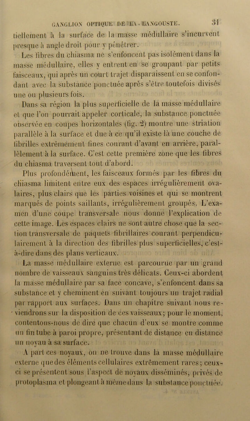 tiellcment à la surface de la masse médullaire s’incurvent presque à angle droit pour y pénétrer. Les fibres du chiasma ne s’enfoncent pas isolément dans la masse médullaire, elles y entrent en se groupant par petits faisceaux, qui après un court trajet disparaissent en se confon- dant avec la substance ponctuée après s’être toutefois divisés une ou plusieurs fois. Dans sa région la plus superficielle de la masse médullaire et que l’on pourrait appeler corticale, la substance ponctuée observée en coupes horizontales (fig. 2} montre une striation parallèle à la surface et due à ce qu’il existe là une couche de fibrilles extrêmement fines courant d’avant en arrière, paral- lèlement à la surface. C’est cette première zone que les fibres du chiasma traversent tout d’abord. Plus profondément, les faisceaux formés par les fibres du cliiasma limitent entre eux des espaces irrégulièrement ova- laires, plus clairs que les parties voisines et qui se montrent marqués de points saillants, irrégulièrement groupés. L’exa- men d’une coupe transversale nous donne l’explication de cette image. Les espaces clairs ne sont autre chose que la sec- tion transversale de paquets fibiillaires courant perpendicu- lairement à la direction des fibrilles plus superficielles, c’est- à-dire dans des plans verticaux. La masse médullaire externe est parcourue par un grand nombre de vaisseaux sanguins très délicats. Ceux-ci abordent la masse médullaire par sa face concave, s’enfoncent dans sa substance et y cheminent en suivant toujours un trajet radial par rapport aux surfaces. Dans un chapitre suivant nous re- - viendrons sur la disposition de ces vaisseaux; pour le moment, contentons-nous de dire que chacun d’eux se montre comme un fin tube à paroi propre, présentant de distance en distance un novau à sa surface. A part ces noyaux, on ne trouve dans la masse médullaire externe quedes éléments cellulaires extrêmement rares; ceux- ci se présentent sous l’aspect de noyaux disséminés, privés de protoplasma et plongeant à même dans la substance ponctuée.