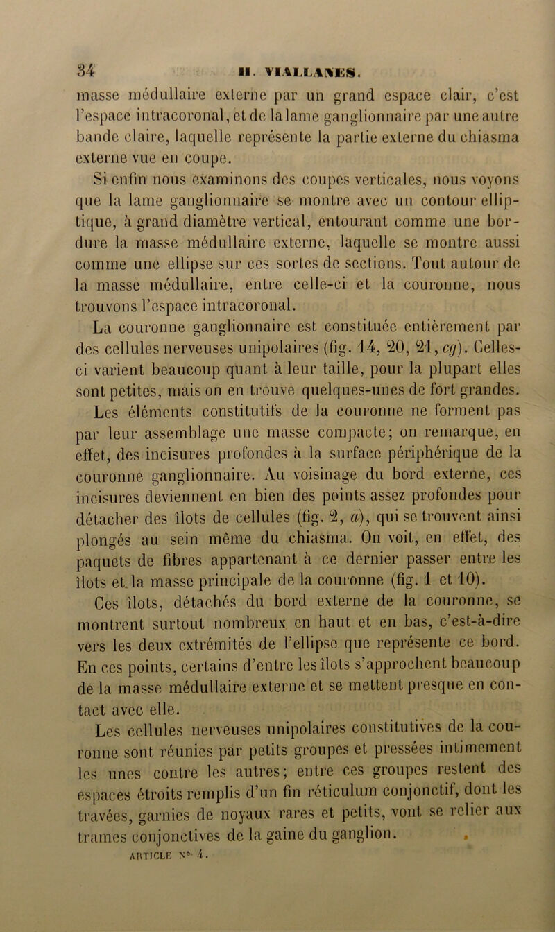 masse médullaire externe par un grand espace clair, c’est l’espace intracoronal, et de la lame ganglionnaire par une autre bande claire, laquelle représente la partie externe du chiasma externe vue en coupe. Si enfin nous examinons des coupes verticales, nous voyons que la lame ganglionnaire se montre avec un contour ellip- tique, à grand diamètre vertical, entourant comme une bor- dure la masse médullaire externe, laquelle se montre aussi comme une ellipse sur ces sortes de sections. Tout autour de la masse médullaire, entre celle-ci et la couronne, nous trouvons l’espace intracoronal. La couronne ganglionnaire est constituée entièrement par des cellules nerveuses unipolaires (fig. 14, 20, 21, cg). Celles- ci varient beaucoup quant à leur taille, pour la plupart elles sont petites, mais on en trouve quelques-unes de fort grandes. Les éléments constitutifs de la couronne ne forment pas par leur assemblage une masse compacte; on remarque, en effet, des incisures profondes à la surface périphérique de la couronne ganglionnaire. Au voisinage du bord externe, ces incisures deviennent en bien des points assez profondes pour détacher des îlots de cellules (fig. 2, a), qui se trouvent ainsi plongés au sein même du chiasma. On voit, en effet, des paquets de fibres appartenant à ce dernier passer entre les ilôts et. la masse principale de la couronne (fig. 1 et 10). Ces îlots, détachés du bord externe de la couronne, se montrent surtout nombreux en haut et en bas, c’est-à-dire vers les deux extrémités de l’ellipse que représente ce bord. En ces points, certains d’entre les îlots s’approchent beaucoup de la masse médullaire externe et se mettent presque en con- tact avec elle. Les cellules nerveuses unipolaires constitutives de la cou- ronne sont réunies par petits groupes et pressées intimement les unes contre les autres; entre ces groupes restent des espaces étroits remplis d’un fin réticulum conjonctif, dont les travées, garnies de noyaux rares et petits, vont se reliei aux trames conjonctives de la gaine du ganglion.