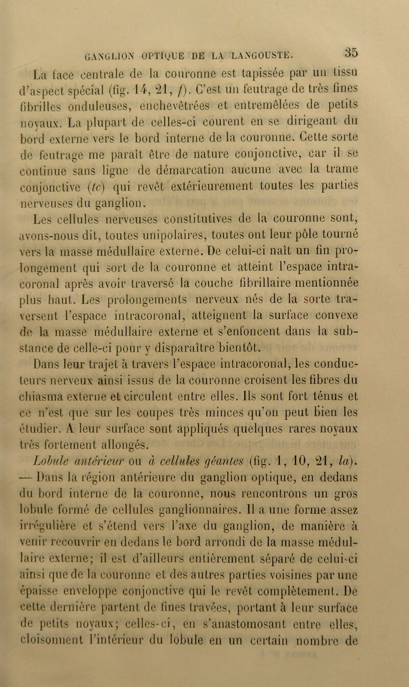 La face centrale de la couronne est tapissée par un tissu d’aspect spécial (fig. 14, 21, /). C’est un feutrage de très fines fibrilles onduleuses, enchevêtrées et entremêlées de petits noyaux. La plupart de celles-ci courent en se dirigeant du bord externe vers le bord interne de la couronne. Cette sorte de feutrage me paraît être de nature conjonctive, car il se continue sans ligne de démarcation aucune avec la trame conjonctive (te) qui revêt extérieurement toutes les parties nerveuses du ganglion. Les cellules nerveuses constitutives de la couronne sont, avons-nous dit, toutes unipolaires, toutes ont leur pôle tourné vers la masse médullaire externe. De celui-ci naît un fin pro- longement qui sort de la couronne et atteint l’espace intra- coronal après avoir traversé la couche fibrillaire mentionnée plus haut. Les prolongements nerveux nés de la sorte tra- versent l’espace intracoronal, atteignent la surface convexe de la masse médullaire externe et s’enfoncent dans la sub- stance de celle-ci pour y disparaître bientôt. Dans leur trajet à travers l’espace intracoronal, les conduc- teurs nerveux ainsi issus de la couronne croisent les fibres du chiasma externe et circulent entre elles. Ils sont fort ténus et ce n’est que sur les coupes très minces qu’on peut bien les étudier. A. leur surface sont appliqués quelques rares noyaux très fortement allongés. Lobule antérieur ou à cellules géantes (fig. 1, 10, 21, la). — Dans la région antérieure du ganglion optique, en dedans du bord interne de la couronne, nous rencontrons un gros lobule formé de cellules ganglionnaires. Il a une forme assez irrégulière et s’étend vers l’axe du ganglion, de manière à venir recouvrir en dedans le bord arrondi de la masse médul- laire externe; il est d’ailleurs entièrement séparé de celui-ci ainsi que de la couronne et des autres parties voisines par une épaisse enveloppe conjonctive qui le revêt complètement. De cette dernière partent de fines travées, portant à leur surface de petits noyaux; celles-ci, en s’anastomosant entre elles, cloi sonnent l’intérieur du lobule en un certain nombre de