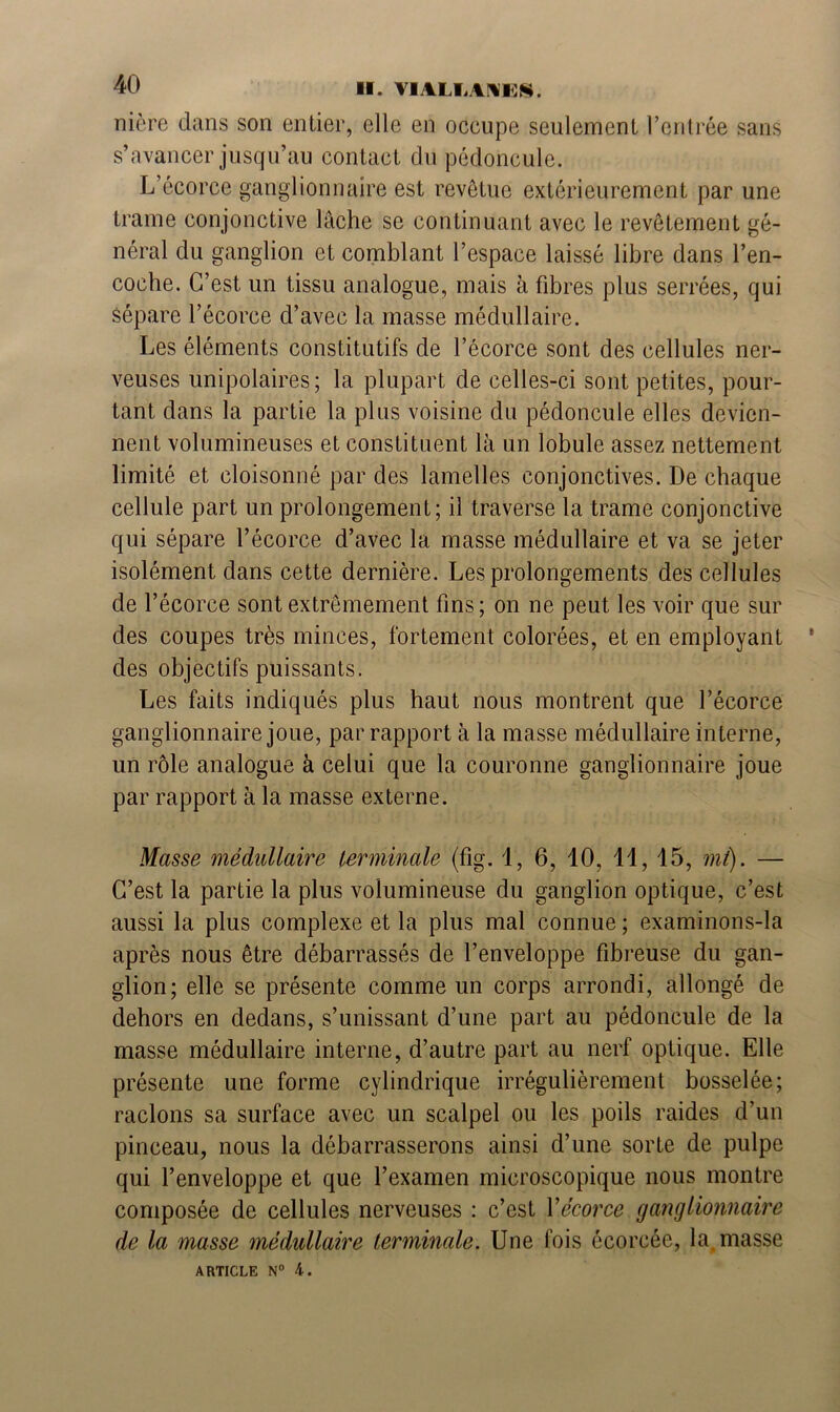 nicre dans son entier, elle en oceupe seulement l’entrée sans s’avancer jusqu’au contact du pédoncule. L’écorce ganglionnaire est revêtue extérieurement par une trame conjonctive lâche se continuant avec le revêtement gé- néral du ganglion et comblant l’espace laissé libre dans l’en- coche. C’est un tissu analogue, mais à fibres plus serrées, qui sépare l’écorce d’avec la masse médullaire. Les éléments constitutifs de l’écorce sont des cellules ner- veuses unipolaires; la plupart de celles-ci sont petites, pour- tant dans la partie la plus voisine du pédoncule elles devien- nent volumineuses et constituent là un lobule assez nettement limité et cloisonné par des lamelles conjonctives. De chaque cellule part un prolongement; il traverse la trame conjonctive qui sépare l’écorce d’avec la masse médullaire et va se jeter isolément dans cette dernière. Les prolongements des cellules de l’écorce sont extrêmement fins; on ne peut les voir que sur des coupes très minces, fortement colorées, et en employant des objectifs puissants. Les faits indiqués plus haut nous montrent que l’écorce ganglionnaire joue, par rapport à la masse médullaire interne, un rôle analogue à celui que la couronne ganglionnaire joue par rapport à la masse externe. Masse médullaire terminale (fig. 4, 6, 10, 14, 15, mi). — C’est la partie la plus volumineuse du ganglion optique, c’est aussi la plus complexe et la plus mal connue ; examinons-la après nous être débarrassés de l’enveloppe fibreuse du gan- glion; elle se présente comme un corps arrondi, allongé de dehors en dedans, s’unissant d’une part au pédoncule de la masse médullaire interne, d’autre part au nerf optique. Elle présente une forme cylindrique irrégulièrement bosselée; raclons sa surface avec un scalpel ou les poils raides d’un pinceau, nous la débarrasserons ainsi d’une sorte de pulpe qui l’enveloppe et que l’examen microscopique nous montre composée de cellules nerveuses : c’est Xécorce ganglionnaire de la masse médullaire terminale. Une fois écorcée, la masse