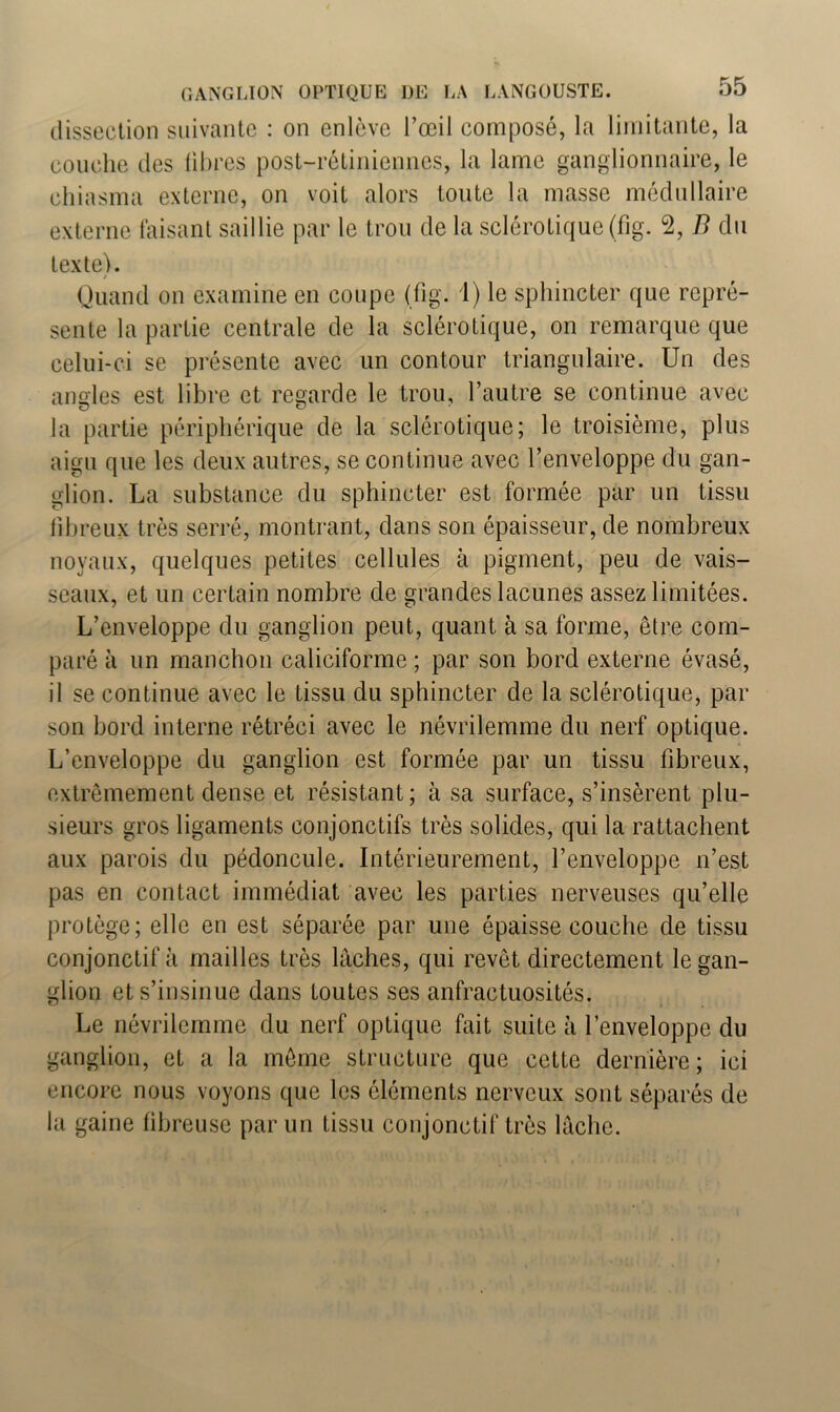 dissection suivante : on enlève l’œil composé, la limitante, la couche des libres post-rétiniennes, la lame ganglionnaire, le chiasma externe, on voit alors toute la masse médullaire externe faisant saillie par le trou de la sclérotique (fig. 2, B du texte). / Quand on examine en coupe (fig. 1) le sphincter que repré- sente la partie centrale de la sclérotique, on remarque que celui-ci se présente avec un contour triangulaire. Un des angles est libre et regarde le trou, l’autre se continue avec la partie périphérique de la sclérotique; le troisième, plus aigu que les deux autres, se continue avec l’enveloppe du gan- glion. La substance du sphincter est formée par un tissu fibreux très serré, montrant, dans son épaisseur, de nombreux noyaux, quelques petites cellules à pigment, peu de vais- seaux, et un certain nombre de grandes lacunes assez limitées. L’enveloppe du ganglion peut, quant à sa forme, être com- paré à un manchon caliciforme ; par son bord externe évasé, il se continue avec le tissu du sphincter de la sclérotique, par son bord interne rétréci avec le névrilemme du nerf optique. L’enveloppe du ganglion est formée par un tissu fibreux, extrêmement dense et résistant; à sa surface, s’insèrent plu- sieurs gros ligaments conjonctifs très solides, qui la rattachent aux parois du pédoncule. Intérieurement, l’enveloppe n’est pas en contact immédiat avec les parties nerveuses qu’elle protège; elle en est séparée par une épaisse couche de tissu conjonctif à mailles très lâches, qui revêt directement le gan- glion et s’insinue dans toutes ses anfractuosités. Le névrilemme du nerf optique fait suite à l’enveloppe du ganglion, et a la même structure que cette dernière; ici encore nous voyons que les éléments nerveux sont séparés de la gaine fibreuse par un tissu conjonctif très lâche.