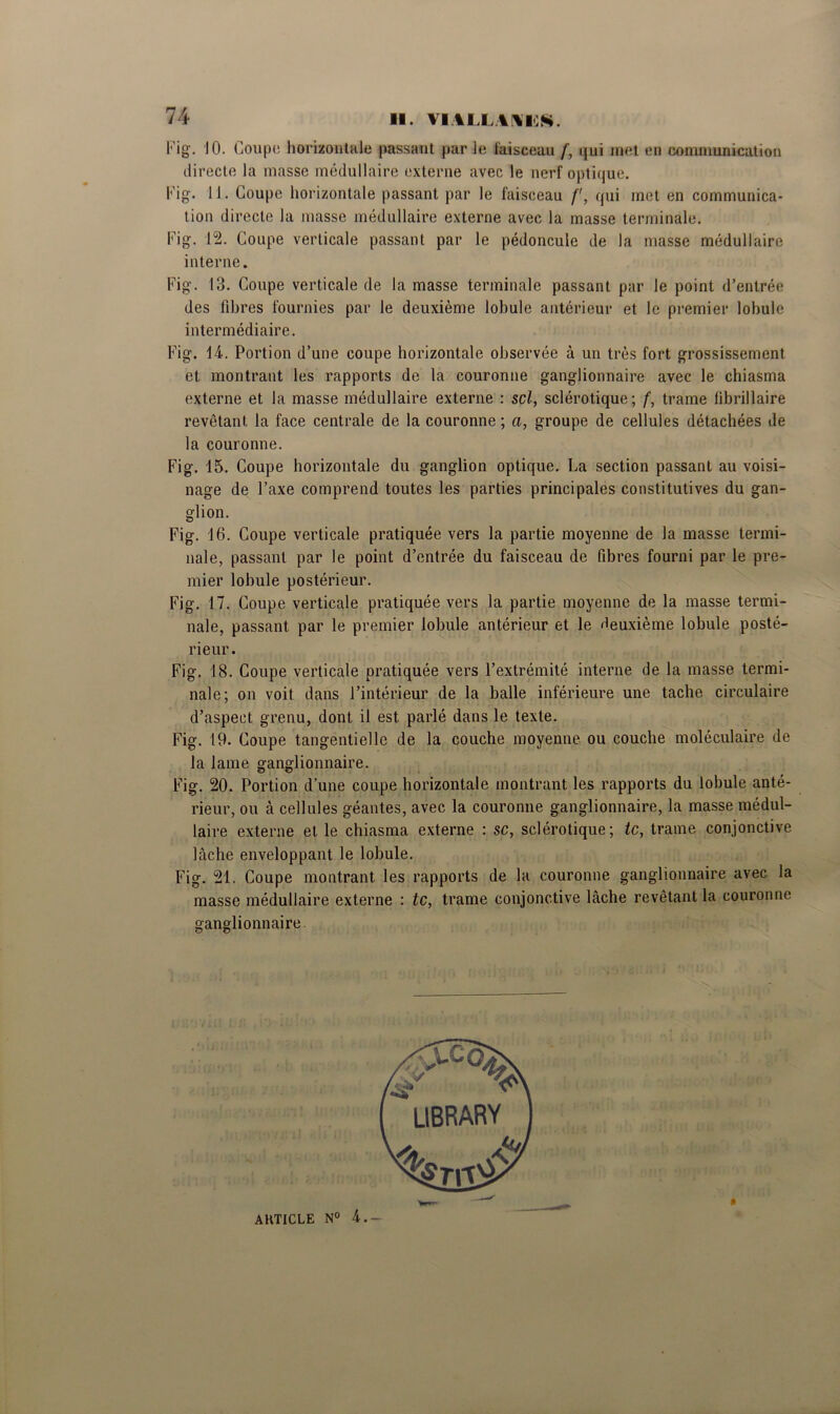 Fig. 10. Coupe horizontale passant parle faisceau f, qui met en communication directe la masse médullaire externe avec le nerf optique. Fig. 11 • Coupe horizontale passant par le faisceau f', qui met en communica- tion directe la masse médullaire externe avec la masse terminale. Fig. 12. Coupe verticale passant par le pédoncule de la masse médullaire interne. Fig. 13. Coupe verticale de la masse terminale passant par le point d’entrée des fibres fournies par le deuxième lobule antérieur et le premier lobule intermédiaire. Fig. 14. Portion d’une coupe horizontale observée à un très fort grossissement et montrant les rapports de la couronne ganglionnaire avec le chiasma externe et la masse médullaire externe : sel, sclérotique; f, trame fibrillaire revêtant la face centrale de la couronne ; a, groupe de cellules détachées de la couronne. Fig. 15. Coupe horizontale du ganglion optique. La section passant au voisi- nage de l’axe comprend toutes les parties principales constitutives du gan- glion. Fig. 16. Coupe verticale pratiquée vers la partie moyenne de la masse termi- nale, passant par le point d’entrée du faisceau de fibres fourni par le pre- mier lobule postérieur. Fig. 17. Coupe verticale pratiquée vers la partie moyenne de la masse termi- nale, passant par le premier lobule antérieur et le deuxième lobule posté- rieur. Fig. 18. Coupe verticale pratiquée vers l’extrémité interne de la masse termi- nale; on voit dans l’intérieur de la balle inférieure une tache circulaire d’aspect grenu, dont il est parlé dans le texte. Fig. 19. Coupe tangentielle de la couche moyenne ou couche moléculaire de la lame ganglionnaire. Fig. 20. Portion d’une coupe horizontale montrant les rapports du lobule anté- rieur, ou à cellules géantes, avec la couronne ganglionnaire, la masse médul- laire externe et le chiasma externe : sc, sclérotique; te, trame conjonctive lâche enveloppant le lobule. Fig. 21. Coupe montrant les rapports de la couronne ganglionnaire avec la masse médullaire externe : te, trame conjonctive lâche revêtant la couronne ganglionnaire. 0