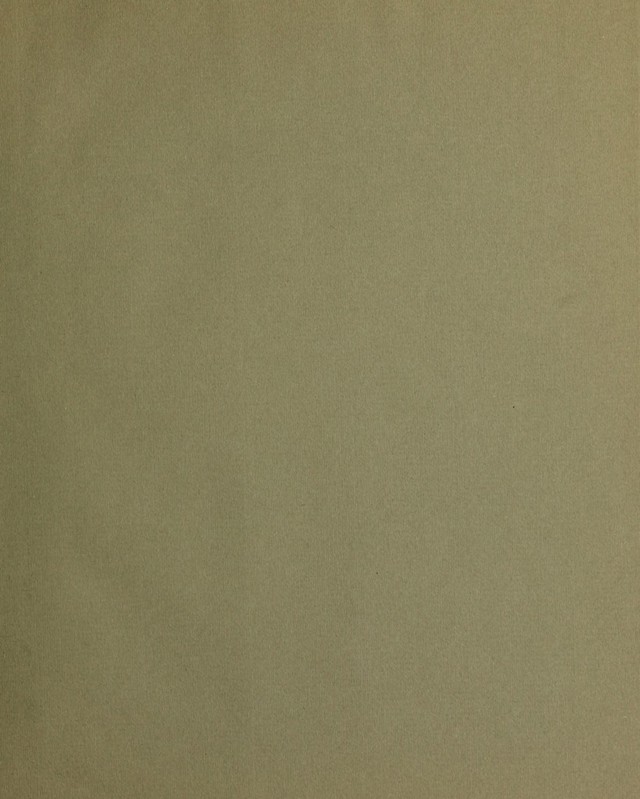 digitised image 3