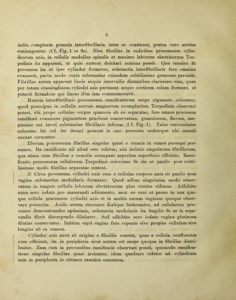 G initio compluria granula interfibrillaria inter se continent, postea vero arctius coniunguntur (Cf. Fig. 1 et 2a). Illae fibrillae in radicibus processuum cylin- drorum axis, in cellulis medullae spinalis et maxime laborum electricorum Tor- pedinis ita apparent, ut quin exstent dubitari minime possit. Quo tenuior fit processus ita ut ipse cylinder formetur, substantia interfibrillaris fere omnino evanescit, parva modo copia substantiae cuiusdam subtilissime granosae persistit. Fibrillae autem apparent lineis aequis intervallis distantibus clarissime visu, quae per totam crassitudinem cylindri axis pertinent neque corticem solam formant, ut putavit Remakius qui lineas illas iam commemoravit. Materia interfibrillaris processuum ramificatorum saepe pigmento coloratur, quod praecipue in cellulis nerveis magnorum exemplarium Torpedinis observari potest, ubi prope cellulae corpus quamvis ab eo separatae, fere omnes processus ramificati crassiores pigmentum praebent coacervatum, granulosum, flavum, sae- pissime uni lateri substantiae fibrillaris infixum (Cf. Fig. 1). Tales varicositates coloratae bis vel ter iterari possunt in uno processu crebroque ubi ramuli exeunt cernuntur. Illorum processuum fibrillas singulas quasi e truncis in ramos persequi pos- sumus. Ita ramificatio nil aliud esse videtur, nisi isolatio singularum fibrillarum, qua etiam cum fibrillae e ramulis erumpant asperitas superficiei efficitur. Rami- ficatio processuum cellularum Torpedinis celerrime fit ita ut paullo post subti- lissimae modo fibrillae separatae restent. 3) Circa processum cylindri axis cum e cellulae corpore nata sit paullo post vagina substantiae medullaris formatur. Quod adhuc singulatim modo obser- vatum in magnis cellulis loborum electricorum plus centies vidimus. Adhibito enim sero iodato pro macerandi adiumento, mox eo veni ut paene in una qua- que cellula processum cylindri axis et in multis earum vaginam quoque obser- vare potuerim. Acido autem chromico Kalique bichromico, ad cellularum pro- cessus demonstrandos aptissimis, substantia medularis ita fragilis fit ut in sepa- randis fibris discerpendo dilabatur. Sed adhibito sero iodato vagina glutinosa diutius conservatur. Initium capit vagina fere repente sive propius cellulam sive longius ab ea remota. Cylinder axis sicut ab origine e fibrillis constat, quae e cellula confluentes eum efficiunt, ita in peripheria sicut notum est saepe quoque in fibrillas distri- buitur. Nam cum in processibus ramificatis observari possit, quomodo ramifica- tione singulae fibrillae quasi isolentur, idem quadrare videtur ad cylindrum axis in peripheria in ultimos ramulos exeuntem.