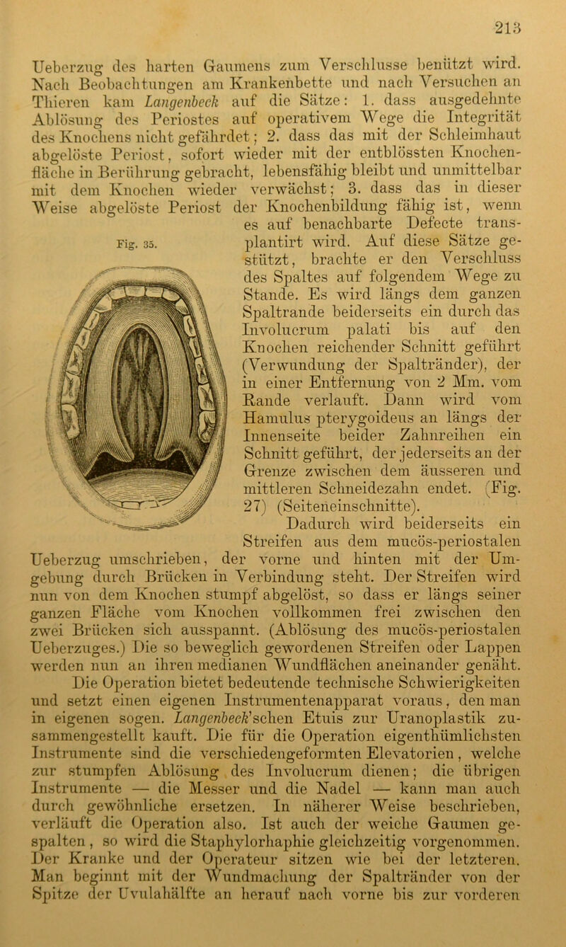 Ueberzug dos barten Gaumens zum Verschlüsse benützt wird. Nach Beobachtungen am Krankenbette und nach Versuchen an Thieren kam Langeribeck auf die Sätze: 1. dass ausgedehnte Ablösung des Periostes auf operativem Wege die Integrität des Knochens nicht gefährdet; 2. dass das mit der Schleimhaut abgelöste Periost, sofort wieder mit der entblössten Knochen- fläche in Berührung gebracht, lebensfähig bleibt und unmittelbar mit dem Knochen wieder verwächst; 3. dass das in dieser Weise abgelöste Periost der Knochenbildung fähig ist, wenn es auf benachbarte Defecte trans- plantirt wird. Auf diese Sätze ge- stützt, brachte er den Verschluss des Spaltes auf folgendem Wege zu Stande. Es wird längs dem ganzen Spaltrande beiderseits ein durch das Invo hierum palati bis auf den Knochen reichender Schnitt geführt (Verwundung der Spaltränder), der in einer Entfernung von 2 Mm. vom Bande verlauft. Dann wird vom Hamulus pterygoideus an längs der Innenseite beider Zahnreihen ein Schnitt geführt, der jederseits an der Grenze zwischen dem äusseren und mittleren Schneidezahn endet. (Fig. 27) (Seiteneinschnitte). Dadurch wird beiderseits ein Streifen aus dem mucös-periostalen Ueberzug umschrieben, der vorne und hinten mit der Um- gebung durch Brücken in Verbindung steht. Der Streifen wird nun von dem Knochen stumpf abgelöst, so dass er längs seiner ganzen Fläche vom Knochen vollkommen frei zwischen den zwei Brücken sich ausspannt. (Ablösung des mucös-periostalen Ueberzuges.) Die so beweglich gewordenen Streifen oder Lappen werden nun an ihren medianen Wundflächen aneinander genäht. Die Operation bietet bedeutende technische Schwierigkeiten und setzt einen eigenen Instrumentenapparat voraus, den man in eigenen sogen. Lcmgenbeek'sehen Etuis zur Uranoplastik zu- sammengestellt kauft. Die für die Operation eigenthümliclisten Instrumente sind die verschiedengeformten Elevatorien, welche zur stumpfen Ablösung des Involucrum dienen; die übrigen Instrumente — die Messer und die Nadel — kann man auch durch gewöhnliche ersetzen. In näherer Weise beschrieben, verläuft die Operation also. Ist auch der weiche Gaumen ge- spalten , so wird die Staphylorhaphie gleichzeitig vorgenommen. Der Kranke und der Operateur sitzen wie bei der letzteren. Man beginnt mit der Wundmachung der Spaltränder von der Spitze der Uvulahälfte an herauf nach vorne bis zur vorderen Fig. 35.