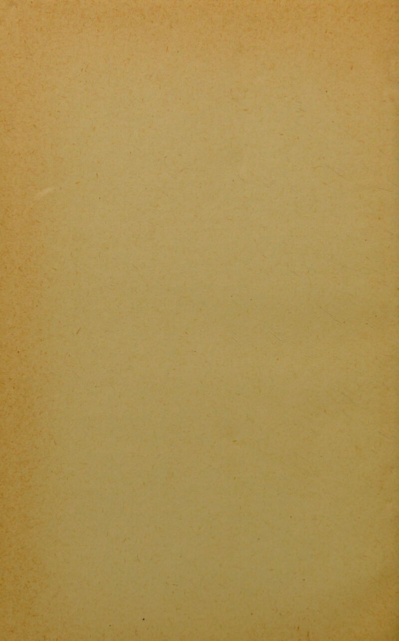 ' N • V; , * ■ -> ;  *» ‘ . ••, ■ •• 7 •• :• ' . / ' t* ; •> ’ ■ - ■ % • - ; ■ ': . , - ?VX'; v ■ S ■ ■ ■ :,-i - r— *i *y ■ <- ■ V * ^ - 1 ' v *' •? ‘ • X * 1 /t> x \ \ v- ,V > 'I