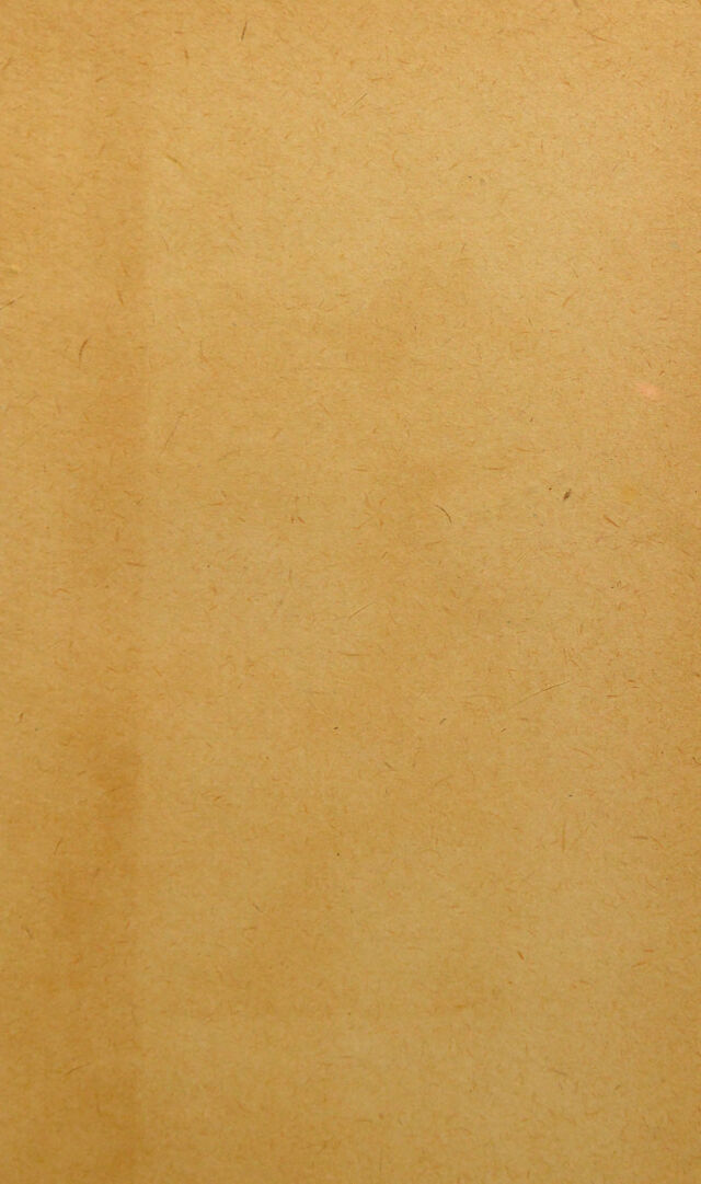 digitised image 3