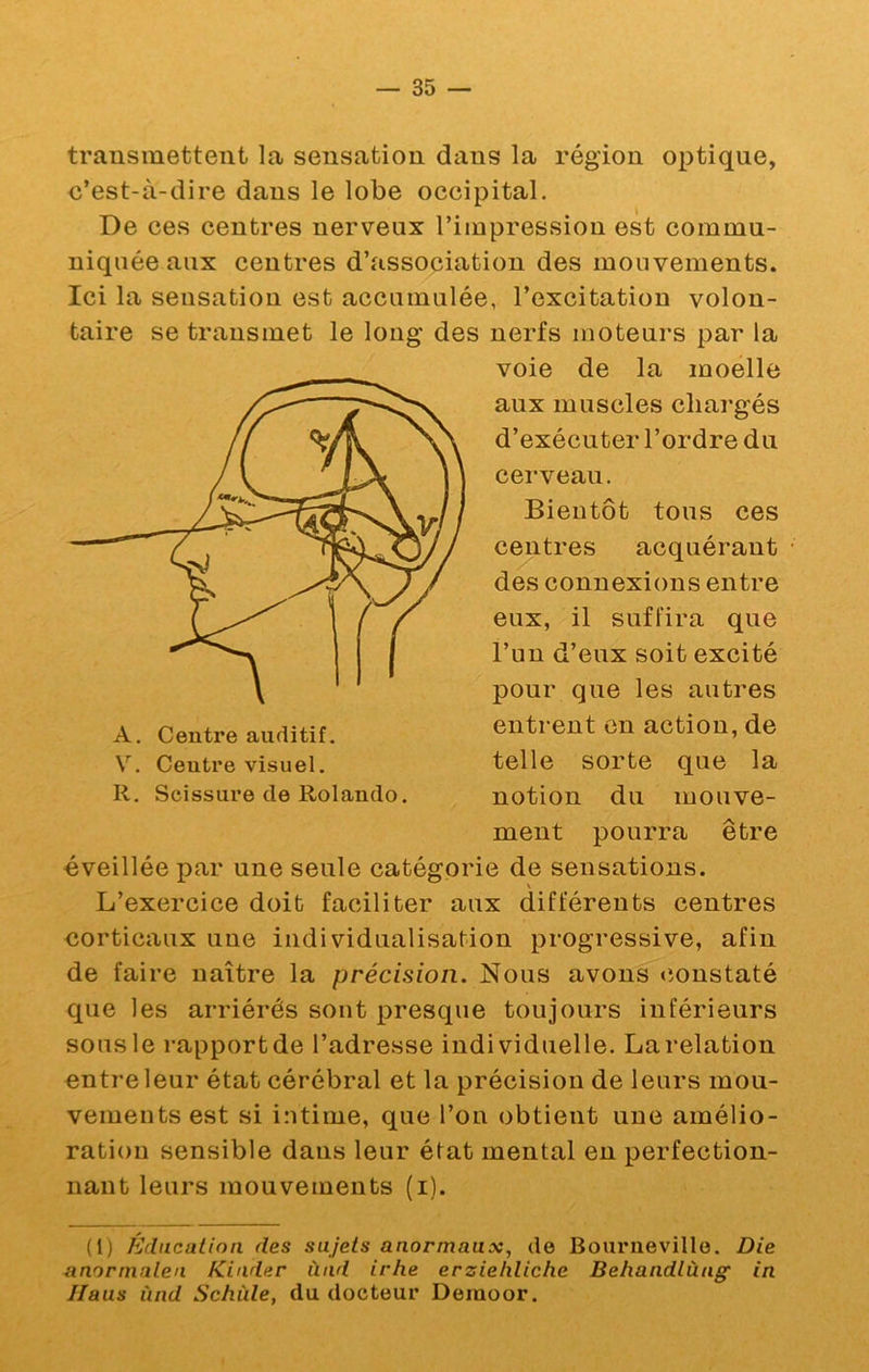 transmettent la sensation dans la région optique, c’est-à-dire dans le lobe occipital. De ces centres nerveux l’impression est commu- niquée aux centres d’association des mouvements. Ici la sensation est accumulée, l’excitation volon- taire se transmet le long des nerfs moteurs par la voie de la moelle aux muscles chargés d’exécuter l’ordre du cerveau. Bientôt tous ces centres acquérant des connexions entre eux, il suffira que l’un d’eux soit excité pour que les autres entrent en action, de telle sorte que la notion du mouve- ment pourra être éveillée par une seule catégorie de sensations. L’exercice doit faciliter aux différents centres corticaux une individualisation progressive, afin de faire naître la précision. Nous avons «ionstaté que les arriérés sont presque toujours inférieurs sous le rapport de l’adresse individuelle. La relation entre leur état cérébral et la précision de leurs mou- vements est si intime, que l’on obtient une amélio- ration sensible dans leur état mental en perfection- nant leurs mouvements (i). (1) Éducation des sujets anormaux, de Bouriieville. Die anorrnalen Kinder ùnd irhe erzieliliche Behandtùng in Ilaus ùnd Schùle, du docteur Demoor. A. Centre auditif. V. Centre visuel. R. Scissure de Rolando.