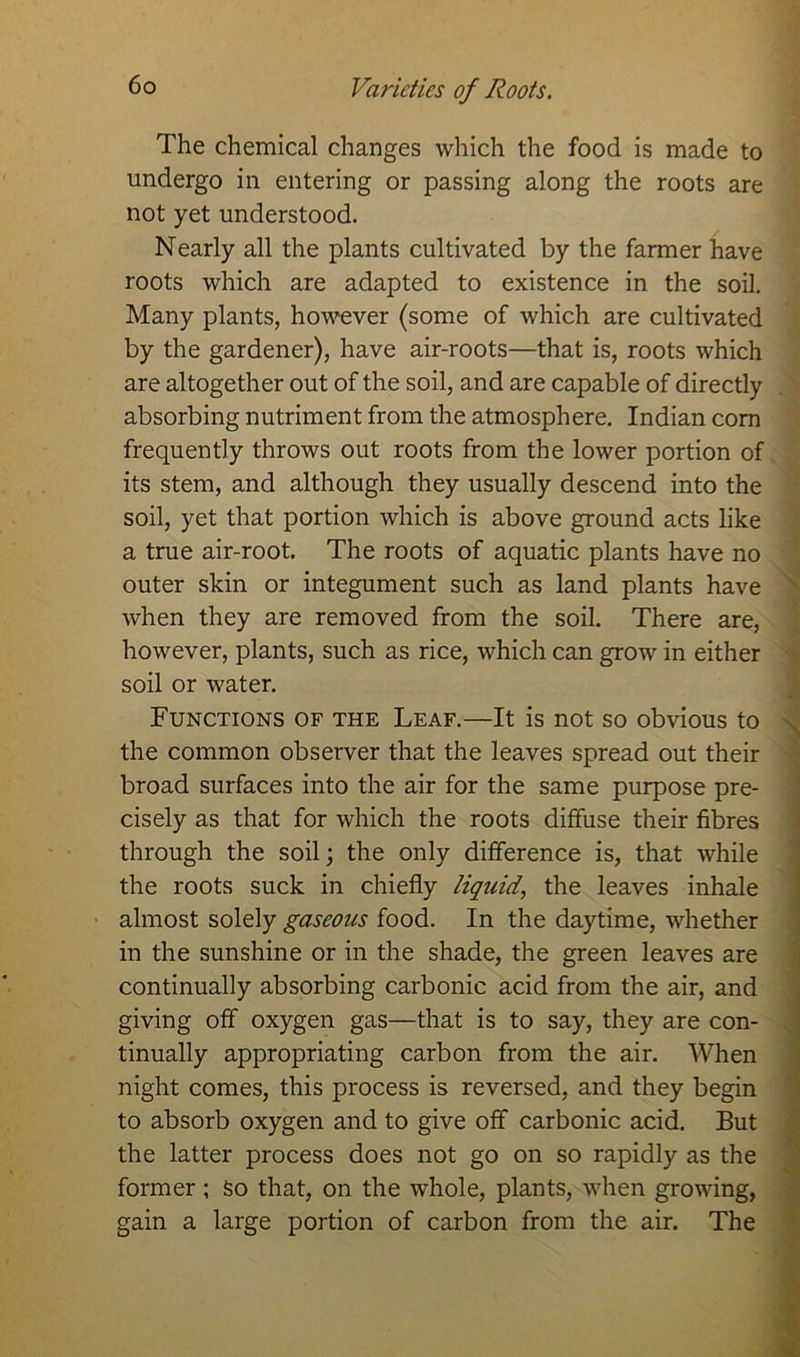 The chemical changes which the food is made to undergo in entering or passing along the roots are not yet understood. Nearly all the plants cultivated by the farmer have roots which are adapted to existence in the soil. Many plants, however (some of which are cultivated by the gardener), have air-roots—that is, roots which are altogether out of the soil, and are capable of directly absorbing nutriment from the atmosphere. Indian com frequently throws out roots from the lower portion of its stem, and although they usually descend into the soil, yet that portion which is above ground acts like a true air-root. The roots of aquatic plants have no outer skin or integument such as land plants have when they are removed from the soil. There are, however, plants, such as rice, which can grow in either soil or water. Functions of the Leaf.—It is not so obvious to the common observer that the leaves spread out their broad surfaces into the air for the same purpose pre- cisely as that for which the roots diffuse their fibres through the soil; the only difference is, that while the roots suck in chiefly liquid, the leaves inhale almost solely gaseous food. In the daytime, whether in the sunshine or in the shade, the green leaves are continually absorbing carbonic acid from the air, and giving off oxygen gas—that is to say, they are con- tinually appropriating carbon from the air. When night comes, this process is reversed, and they begin to absorb oxygen and to give off carbonic acid. But the latter process does not go on so rapidly as the former ; so that, on the whole, plants, when growing, gain a large portion of carbon from the air. The