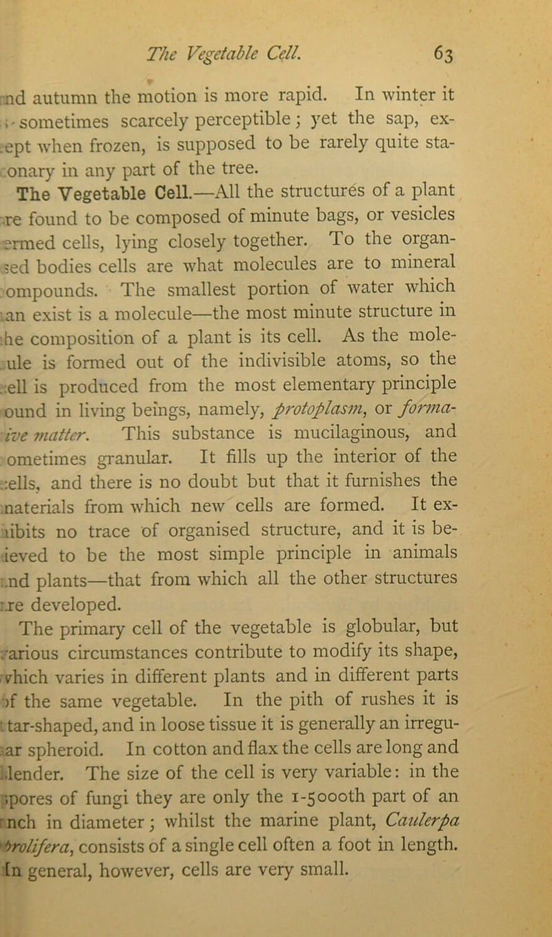 : nd autumn the motion is more rapid. In winter it ;' sometimes scarcely perceptible; yet the sap, ex- ;ept when frozen, is supposed to be rarely quite sta- onary in any part of the tree. The Vegetable Cell.—All the structures of a plant re found to be composed of minute bags, or vesicles ermed cells, lying closely together. To the organ- ;ed bodies cells are what molecules are to mineral ompounds. The smallest portion of water which :an exist is a molecule—the most minute structure in ;he composition of a plant is its cell. As the mole- ule is formed out of the indivisible atoms, so the . ell is produced from the most elementary principle ound in living beings, namely, protoplasm, or forma- roe matter. This substance is mucilaginous, and ometimes granular. It fills up the interior of the :ells, and there is no doubt but that it furnishes the naterials from which new cells are formed. It ex- hibits no trace of organised structure, and it is be- ieved to be the most simple principle in animals .nd plants—that from which all the other structures :.re developed. The primary cell of the vegetable is globular, but /arious circumstances contribute to modify its shape, which varies in different plants and in different parts )f the same vegetable. In the pith of rushes it is t tar-shaped, and in loose tissue it is generally an irregu- lar spheroid. In cotton and flax the cells are long and blender. The size of the cell is very variable: in the ;pores of fungi they are only the 1-5 oooth part of an r nch in diameter \ whilst the marine plant, Caulerpa > Prolifer a, consists of a single cell often a foot in length. In general, however, cells are very small.