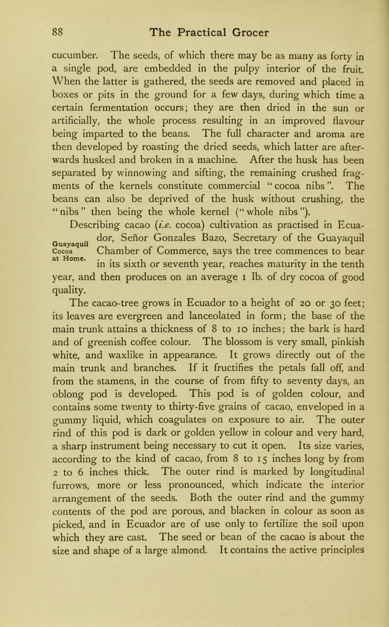 cucumber. The seeds, of which there may be as many as forty in a single pod, are embedded in the pulpy interior of the fruit. When the latter is gathered, the seeds are removed and placed in boxes or pits in the ground for a few days, during which time a certain fermentation occurs; they are then dried in the sun or artificially, the whole process resulting in an improved flavour being imparted to the beans. The full character and aroma are then developed by roasting the dried seeds, which latter are after- wards husked and broken in a machine. After the husk has been separated by winnowing and sifting, the remaining crushed frag- ments of the kernels constitute commercial “ cocoa nibs ”. The beans can also be deprived of the husk without crushing, the “nibs” then being the whole kernel (“whole nibs”). Describing cacao [i.e. cocoa) cultivation as practised in Ecua- dor, Senor Gonzales Bazo, Secretary of the Guayaquil Guayaquil ^ r ^ ^ J ^ Cocoa Chamber of Commerce, says the tree commences to bear at Home. .... , , ... , in Its Sixth or seventh year, reaches maturity m the tenth year, and then produces on an average i lb. of dry cocoa of good quality. The cacao-tree grows in Ecuador to a height of 20 or 30 feet; its leaves are evergreen and lanceolated in form; the base of the main trunk attains a thickness of 8 to 10 inches; the bark is hard and of greenish coffee colour. The blossom is very small, pinkish white, and waxlike in appearance. It grows directly out of the main trunk and branches. If it fructifies the petals fall off, and from the stamens, in the course of from fifty to seventy days, an oblong pod is developed. This pod is of golden colour, and contains some twenty to thirty-five grains of cacao, enveloped in a gummy liquid, which coagulates on exposure to air. The outer rind of this pod is dark or golden yellow in colour and very hard, a sharp instrument being necessary to cut it open. Its size varies, according to the kind of cacao, from 8 to 15 inches long by from 2 to 6 inches thick. The outer rind is marked by longitudinal furrows, more or less pronounced, which indicate the interior arrangement of the seeds. Both the outer rind and the gummy contents of the pod are porous, and blacken in colour as soon as picked, and in Ecuador are of use only to fertilize the soil upon which they are cast. The seed or bean of the cacao is about the size and shape of a large almond. It contains the active principles