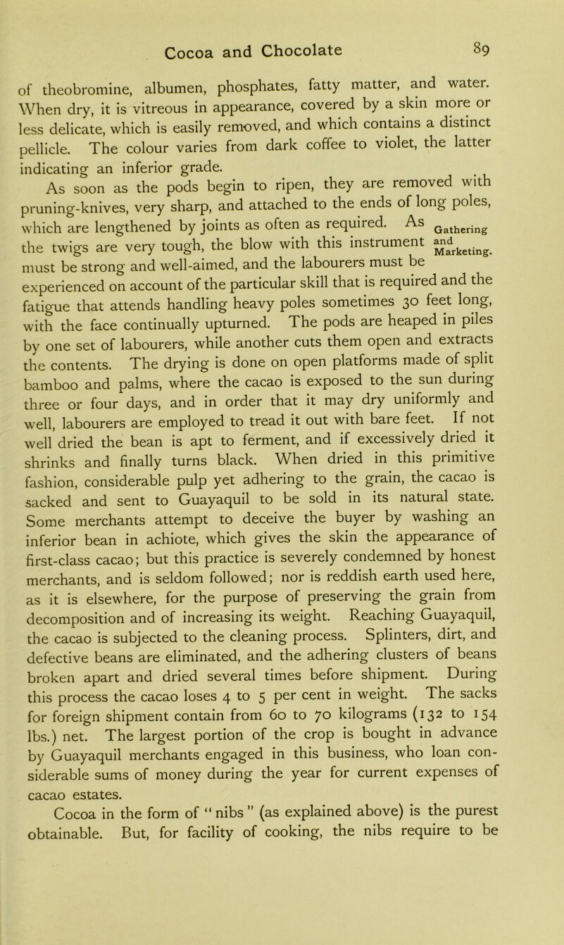 of theobromine, albumen, phosphates, fatty matter, and water. When dry, it is vitreous in appearance, covered by a skin more or less delicate, which is easily removed, and which contains a distinct pellicle. The colour varies from dark coffee to violet, the latter indicating an inferior grade. As soon as the pods begin to ripen, they are removed with pruning-knives, very sharp, and attached to the ends of long poles, which are lengthened by joints as often as required. As Gathering the twigs are very tough, the blow with this instrument must be strong and well-aimed, and the labourers must be experienced on account of the particular skill that is required and the fatigue that attends handling heavy poles sometimes 30 feet long, with the face continually upturned. The pods are heaped in piles by one set of labourers, while another cuts them open and extracts the contents. The drying is done on open platforms made of split bamboo and palms, where the cacao is exposed to the sun during three or four days, and in order that it may dry uniformly and well, labourers are employed to tread it out with bare feet. If not well dried the bean is apt to ferment, and if excessively dried it shrinks and finally turns black. When dried in this primitive fashion, considerable pulp yet adhering to the grain, the cacao is sacked and sent to Guayaquil to be sold in its natural state. Some merchants attempt to deceive the buyer by washing an inferior bean in achiote, which gives the skin the appearance of first-class cacao; but this practice is severely condemned by honest merchants, and is seldom followed; nor is reddish earth used here, as it is elsewhere, for the purpose of preserving the grain from decomposition and of increasing its weight. Reaching Guayaquil, the cacao is subjected to the cleaning process. Splinters, dirt, and defective beans are eliminated, and the adhering clusters of beans broken apart and dried several times before shipment. During this process the cacao loses 4 to 5 per cent in weight. The sacks for foreign shipment contain from 60 to 70 kilograms (132 to 154 lbs.) net. The largest portion of the crop is bought in advance by Guayaquil merchants engaged in this business, who loan con- siderable sums of money during the year for current expenses of cacao estates. Cocoa in the form of “ nibs ” (as explained above) is the purest obtainable. But, for facility of cooking, the nibs require to be