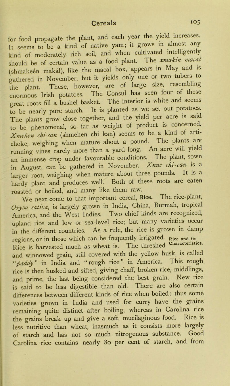 for food propagate the plant, and each year the yield increases. It seems to be a kind of native yam; it grows in almost any kind of moderately rich soil, and when cultivated intelligently should be of certain value as a food plant. The xmakin macal (shmakeen mak^l), like the macal boK, appears m May and is fathered in November, but it yields only one or two tubers to the plant. These, however, are of large size, resembling enormous Irish potatoes. The Consul has seen four of these great roots fill a bushel basket. The Interior is white and seems to be nearly pure starch. It Is planted as we set out potatoes. The plants grow close together, and the yield per acre is said to be phenomenal, sc far as weight of product Is concerned. Xmehen chi-can (shmehen chi kan) seems to be a kind of arti- choke, weighing when mature about a pound. The plants are running vines rarely more than a yard long. An acre will yield an immense crop under favourable conditions. The plant, sown In August, can be gathered in November. Xnuc chi-can is a larger root, weighing when mature about three pounds. It is a hardy plant and produces well. Both of these roots are eaten roasted or boiled, and many like them raw. We next come to that important cereal. Rice. The rice-plant, Ovyza saliva, is largely grown in India, China, Burmah, tropical America, and the W^est Indies. Two chief kinds are recognized, upland rice and low or sea-level rice; but many varieties occur in the different countries. As a rule, the rice is grown in damp regions, or in those which can be frequently irrigated. Rice and its Rice is harvested much as wheat is. The threshed Characteristics. and winnowed grain, still covered with the yellow husk. Is called paddy in India and “rough rice” in America. This rough rice is then husked and sifted, giving chaff, broken rice, middlings, and prime, the last being considered the best grain. New rice is said to be less digestible than old. There are also certain differences between different kinds of rice when boiled: thus some varieties grown in India and used for curry have the grains remaining quite distinct after boiling, whereas in Carolina rice the grains break up and give a soft, mucilaginous food. Rice is less nutritive than wheat, inasmuch as it consists more largely of starch and has not so much nitrogenous substance. Good Carolina rice contains nearly 80 per cent of starch, and from