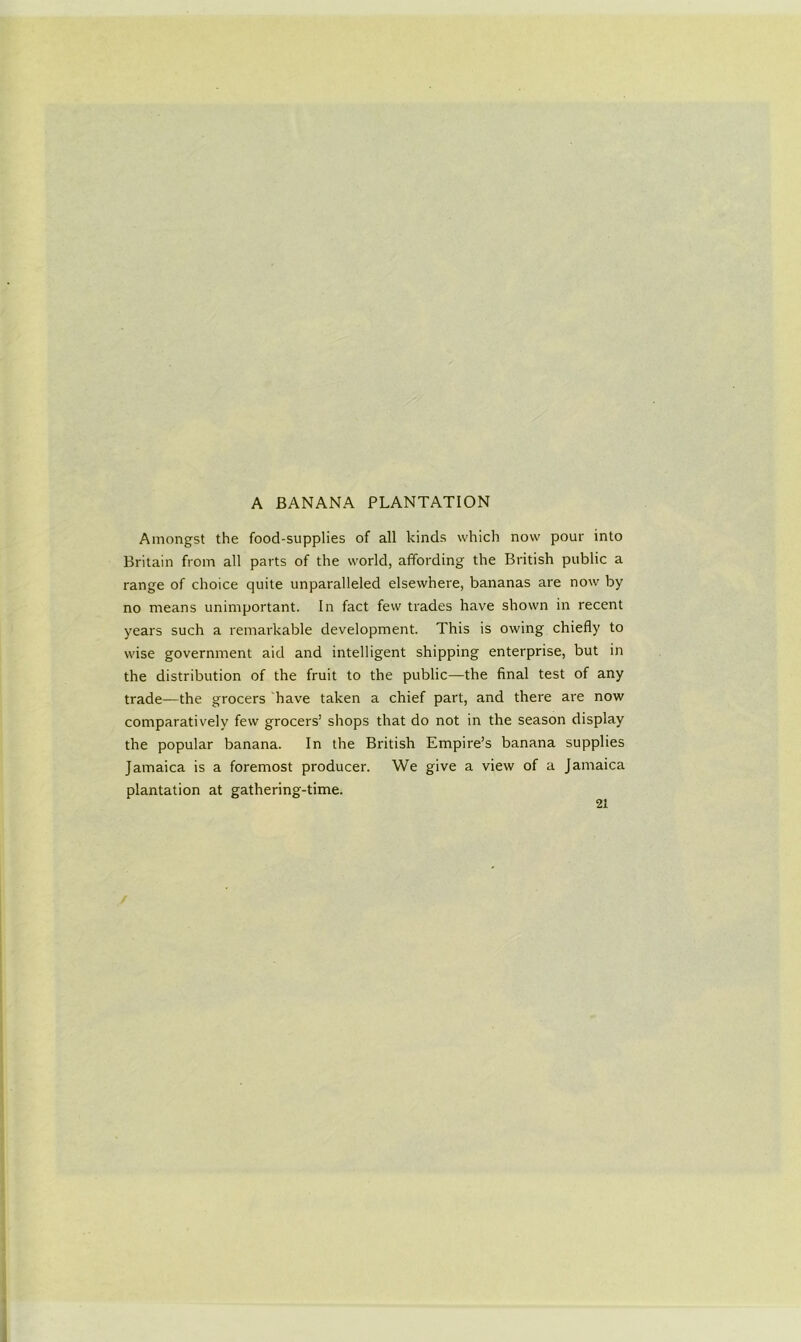 Amongst the food-supplies of all kinds which now pour into Britain from all parts of the world, affording the British public a range of choice quite unparalleled elsewhere, bananas are now by no means unimportant. In fact few trades have shown in recent years such a remarkable development. This is owing chiefly to wise government aid and intelligent shipping enterprise, but in the distribution of the fruit to the public—the final test of any trade—the grocers have taken a chief part, and there are now comparatively few grocers’ shops that do not in the season display the popular banana. In the British Empire’s banana supplies Jamaica is a foremost producer. We give a view of a Jamaica plantation at gathering-time. 21