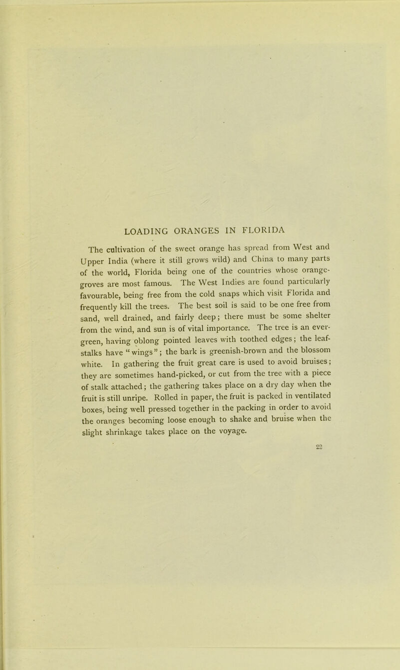 LOADING ORANGES IN FLORIDA The cultivation of the sweet orange has spread from West and Upper India (where it still grows wild) and China to many parts of the world, Florida being one of the countries whose orange- groves are most famous. The West Indies are found particularly favourable, being free from the cold snaps which visit Florida and frequently kill the trees. The best soil is said to be one free from sand, well drained, and fairly deep; there must be some shelter from the wind, and sun is of vital importance. The tree is an ever- green, having oblong pointed leaves with toothed edges; the leaf- stalks have “wings”; the bark is greenish-brown and the blossom white. In gathering the fruit great care is used to avoid bruises; they are sometimes hand-picked, or cut from the tree with a piece of stalk attached; the gathering takes place on a dry day when the fruit is still unripe. Rolled in paper, the fruit is packed in ventilated boxes, being well pressed together in the packing in order to avoid the oranges becoming loose enough to shake and bruise when the slight shrinkage takes place on the voyage. 22