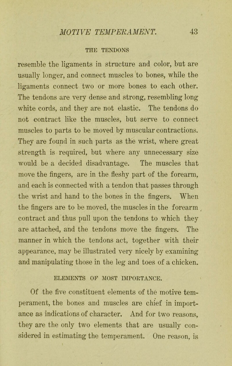 THE TENDONS resemble the ligaments in structure and color, but are usually longer, and connect muscles to bones, while the ligaments connect two or more bones to each other. The tendons are very dense and sti’ong, resembling long white cords, and they are not elastic. The tendons do not contract like the muscles, but serve to connect muscles to parts to be moved by muscular contractions. They are found in such parts as the wrist, where great strength is required, but where any unnecessary size would be a decided disadvantage. The muscles that move the fingers, are in the fieshy part of the forearm, and each is connected with a tendon that passes through the wrist and hand to the bones in the fingers. When the fingers are to be moved, the muscles in the forearm contract and thus pull upon the tendons to which they are attached, and the tendons move the fingers. The manner in which the tendons act, together with their appearance, may be illustrated very nicely by examining and manipulating those in the leg and toes of a chicken. ELEMENTS OP MOST IMPORTANCE. Of the five constituent elements of the motive tem- perament, the bones and muscles are chief in import- ance as indications of character. And for two reasons, they are the only two elements that are usually con- sidered in estimating the temperament. One reason, is