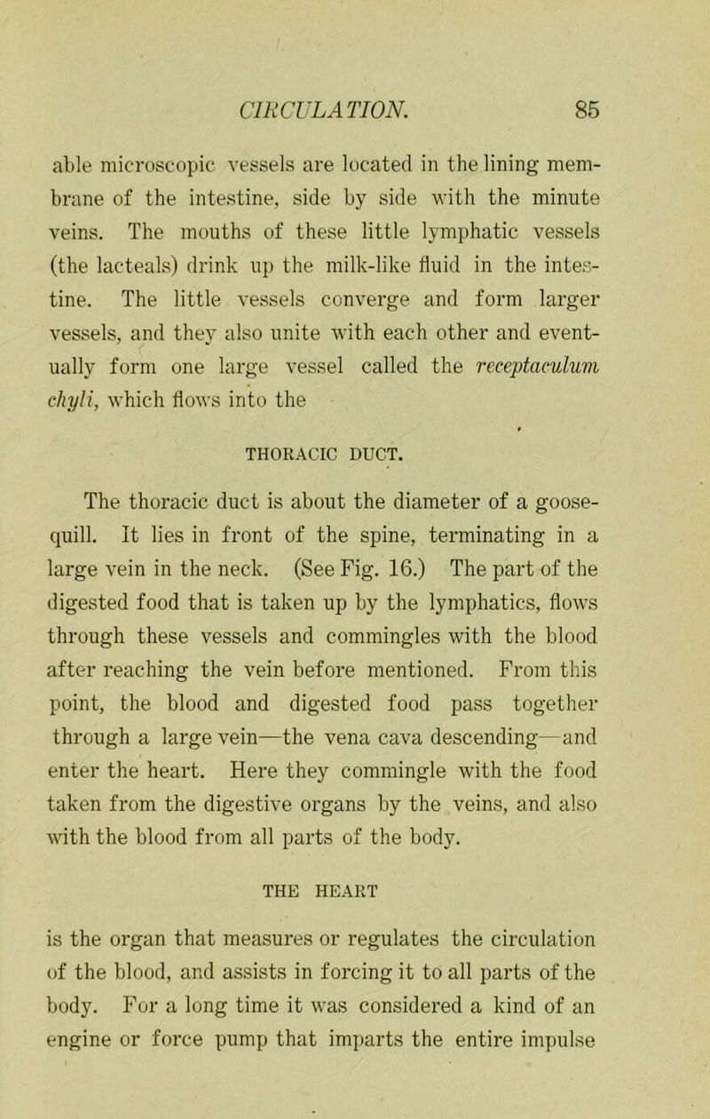 able microscopic vessels are located in the lining mem- brane of the intestine, side by side with the minute veins. The mouths of these little lymphatic vessels (the lacteals) drink up the milk-like fluid in the intes- tine. The little vessels converge and form larger vessels, and they also unite with each other and event- ually form one large vessel called the receptaculuvi chyli, which flows into the THORACIC DUCT. The thoracic duct is about the diameter of a goose- quill. It lies in front of the spine, terminating in a large vein in the neck. (See Fig. 16.) The part of the digested food that is taken up by the lymphatics, flows through these vessels and commingles with the blood after reaching the vein before mentioned. From this point, the blood and digested food pass together through a large vein—the vena cava descending—and enter the heart. Here they commingle with the food taken from the digestive organs by the veins, and also with the blood from all parts of the body. THE HEART is the organ that measures or regulates the circulation of the blood, and assists in forcing it to all parts of the body. For a long time it was considered a kind of an engine or force pump that imparts the entire impulse