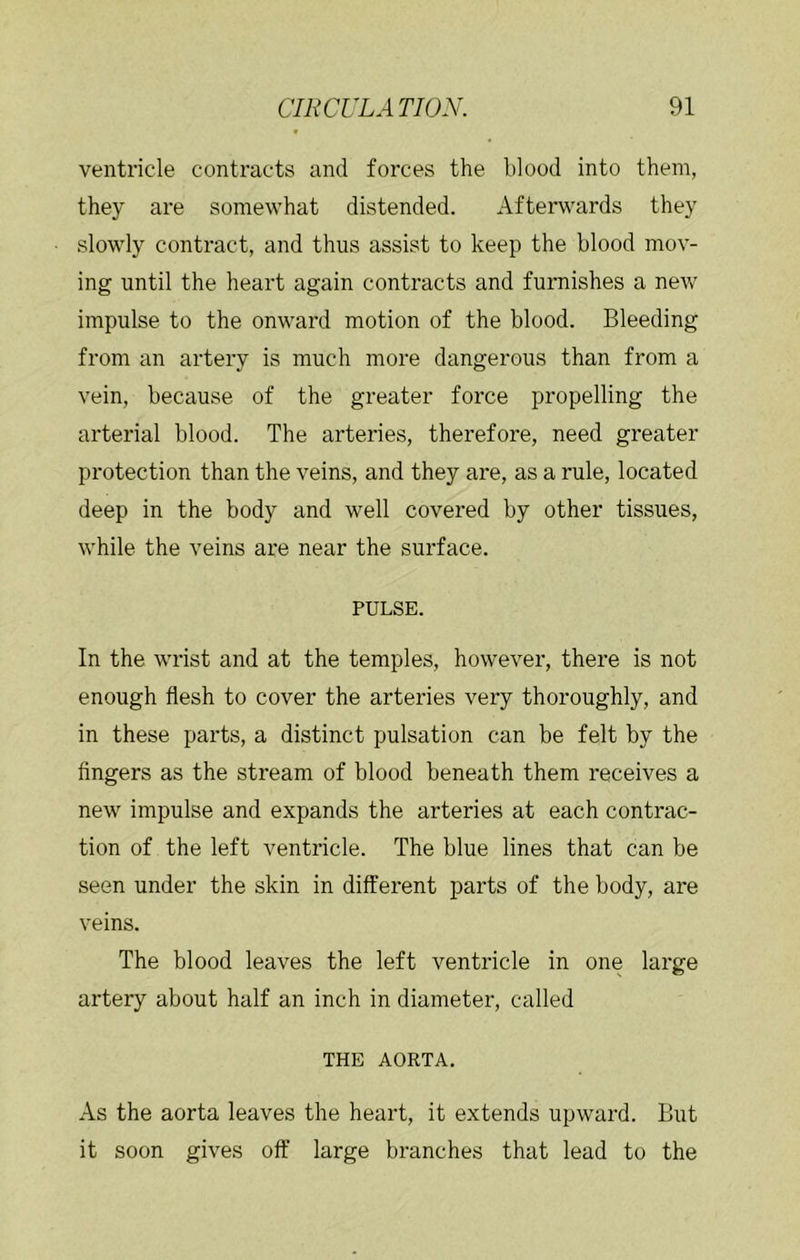 ventricle contracts and forces the blood into them, they are somewhat distended. Afterwards they slowly contract, and thus assist to keep the blood mov- ing until the heart again contracts and furnishes a nev/ impulse to the onward motion of the blood. Bleeding from an artery is much more dangerous than from a vein, because of the greater force propelling the arterial blood. The arteries, therefore, need greater protection than the veins, and they are, as a rule, located deep in the body and well covered by other tissues, while the veins are near the surface. PULSE. In the wrist and at the temples, however, there is not enough flesh to cover the arteries very thoroughly, and in these parts, a distinct pulsation can be felt by the Angers as the stream of blood beneath them receives a new impulse and expands the arteries at each contrac- tion of the left ventricle. The blue lines that can be seen under the skin in different parts of the body, are veins. The blood leaves the left ventricle in one large artery about half an inch in diameter, called THE AORTA. As the aorta leaves the heart, it extends upward. But it soon gives off large branches that lead to the